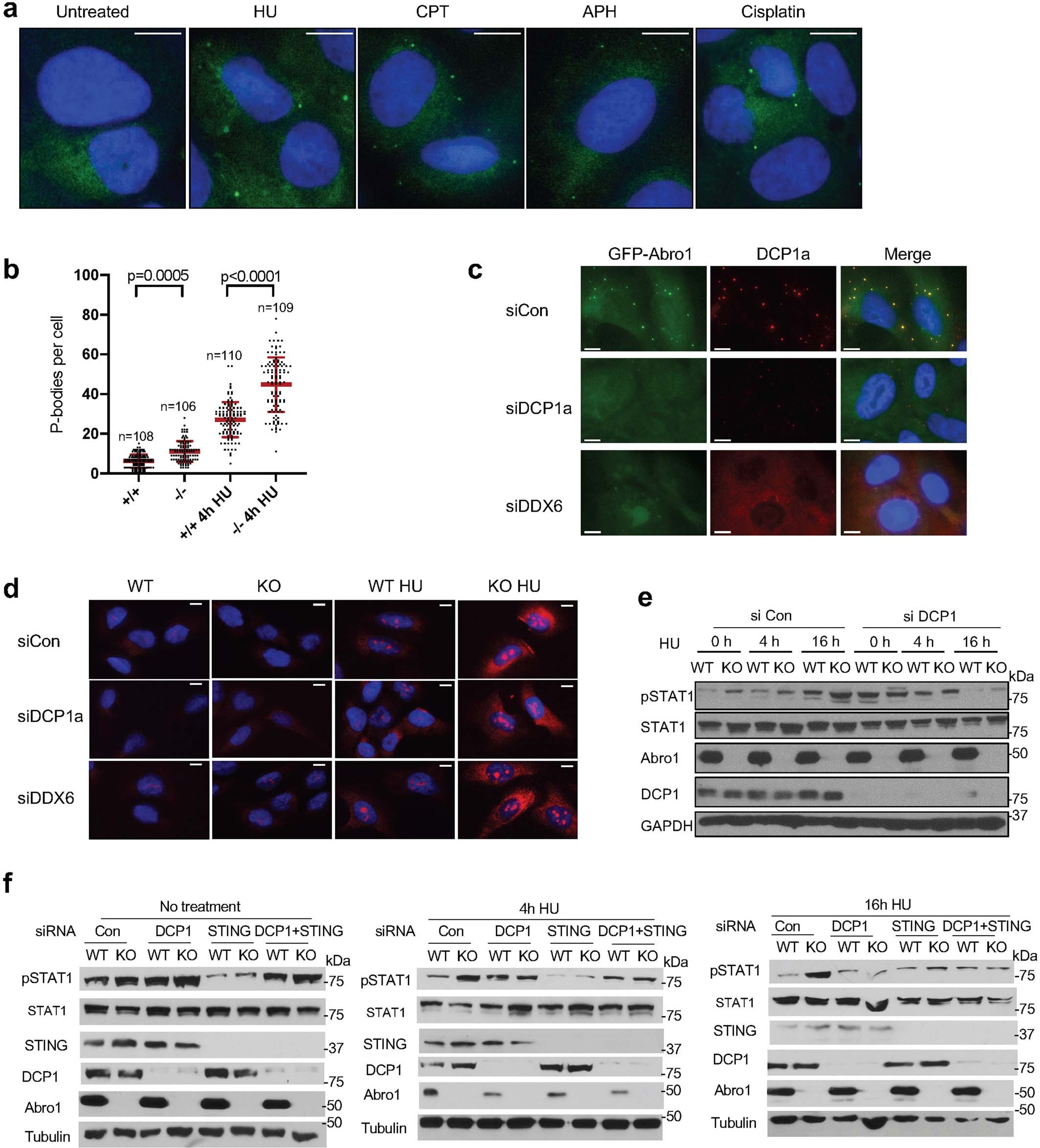 Extended Data Fig. 5