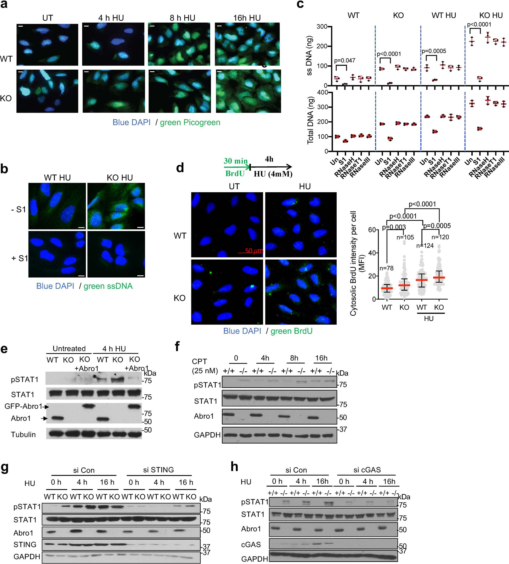 Extended Data Fig. 1