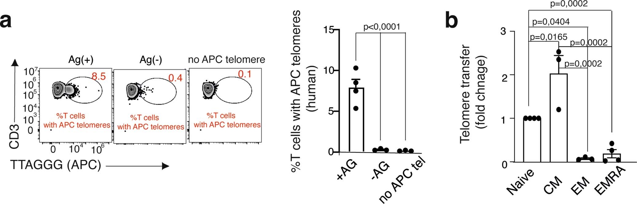 Extended Data Fig. 9: Naive and central memory T cells are the major telomere acquiring cells from APCs.