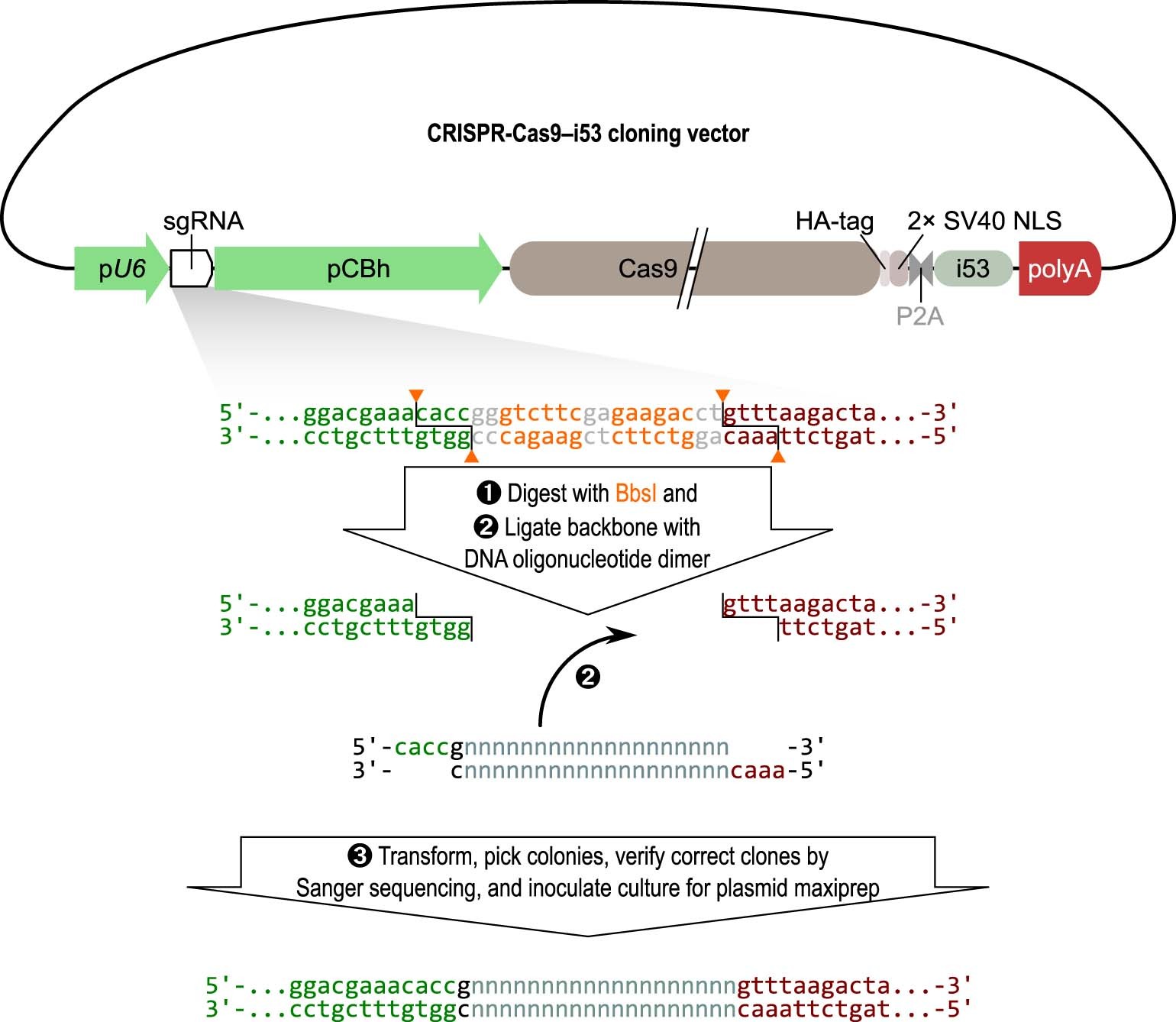 Extended Data Fig. 8