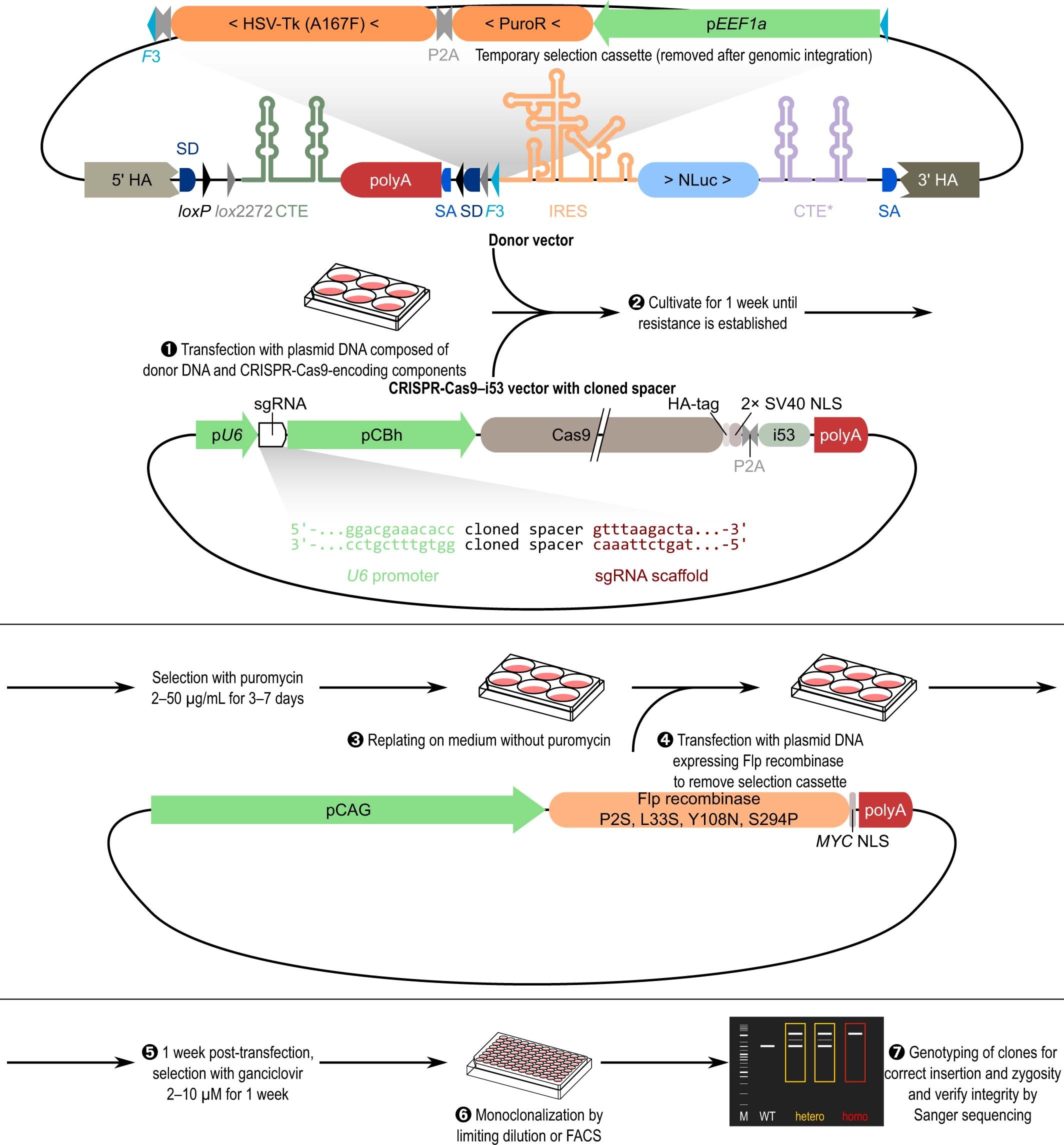 Extended Data Fig. 10