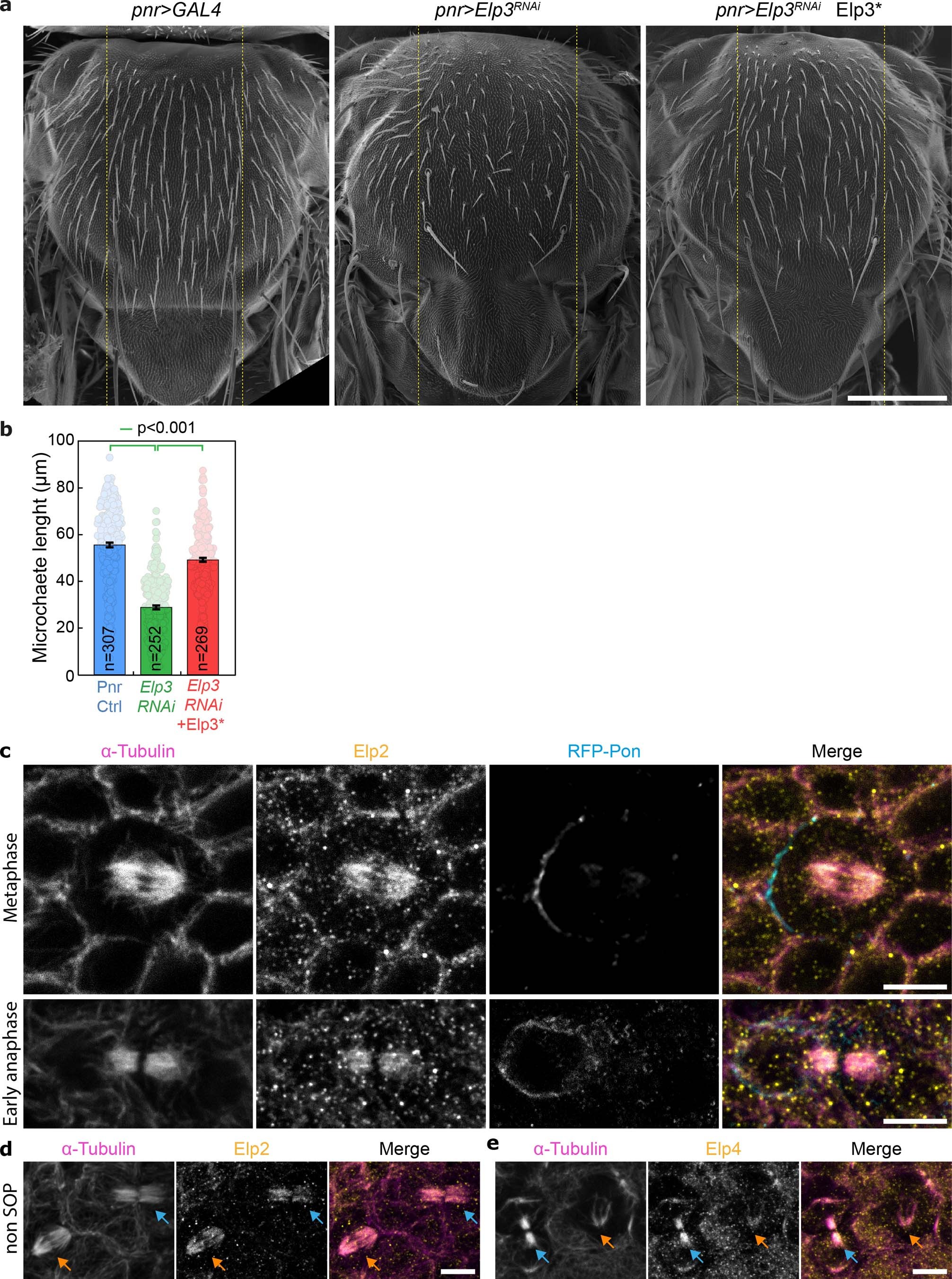 Extended Data Fig. 4