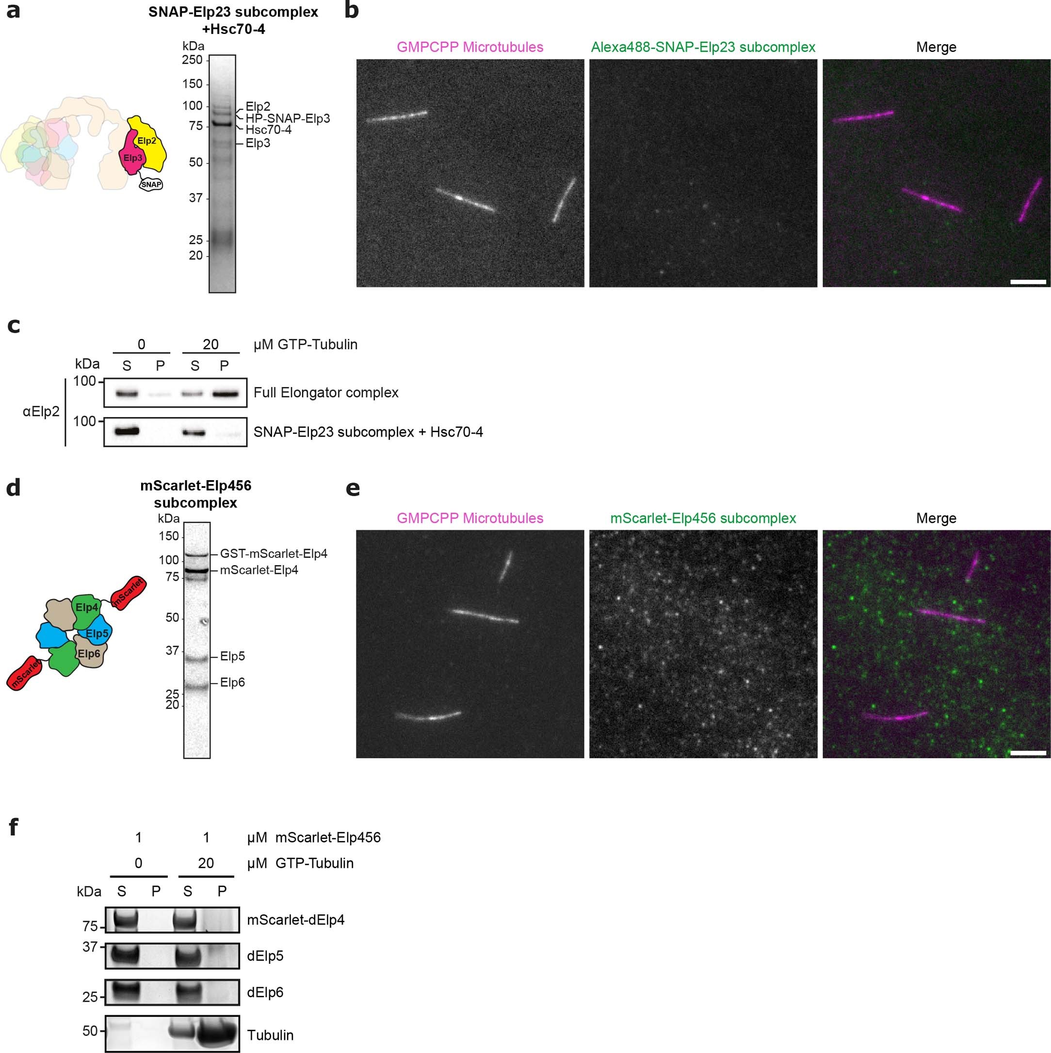 Extended Data Fig. 6