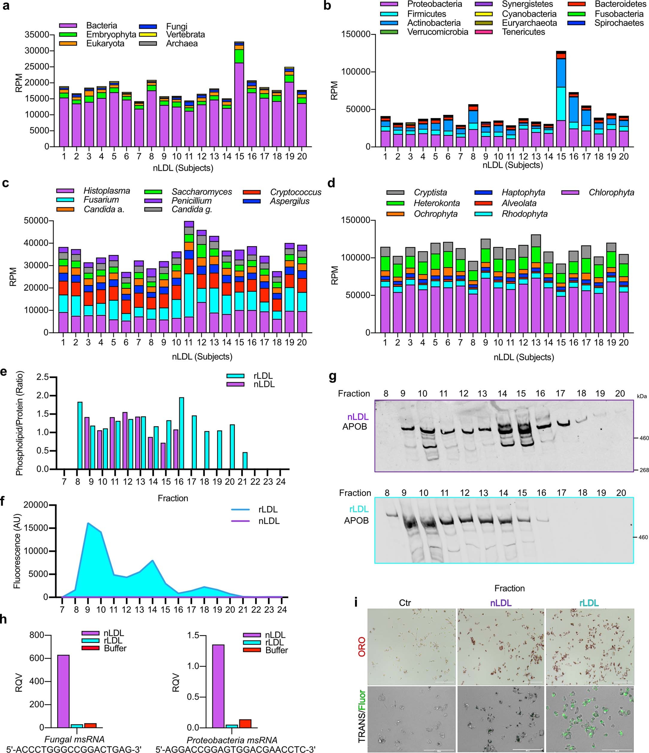 Extended Data Fig. 3