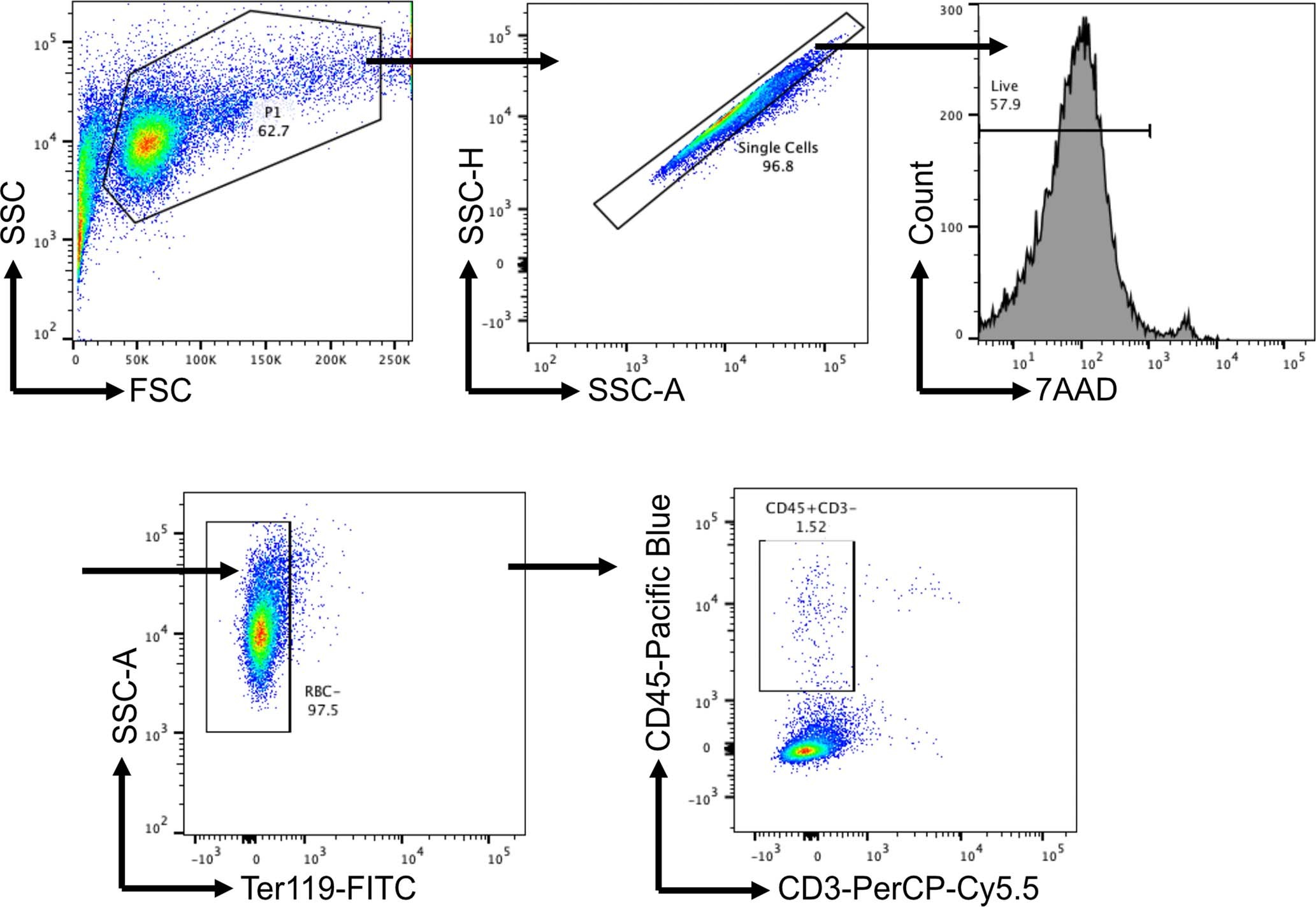 Extended Data Fig. 8: Gating strategy of leukocytes from mouse aortas for single-cell RNA sequencing.