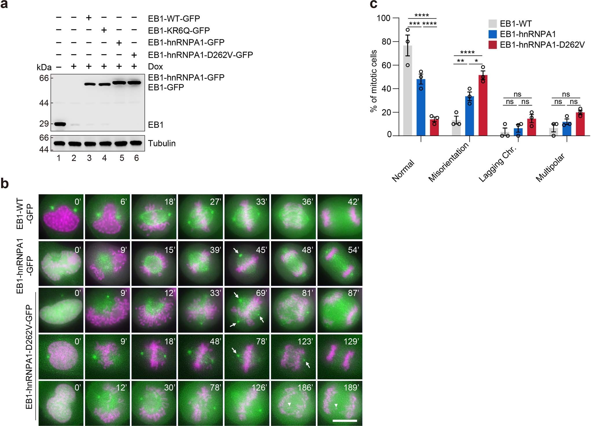Extended Data Fig. 10