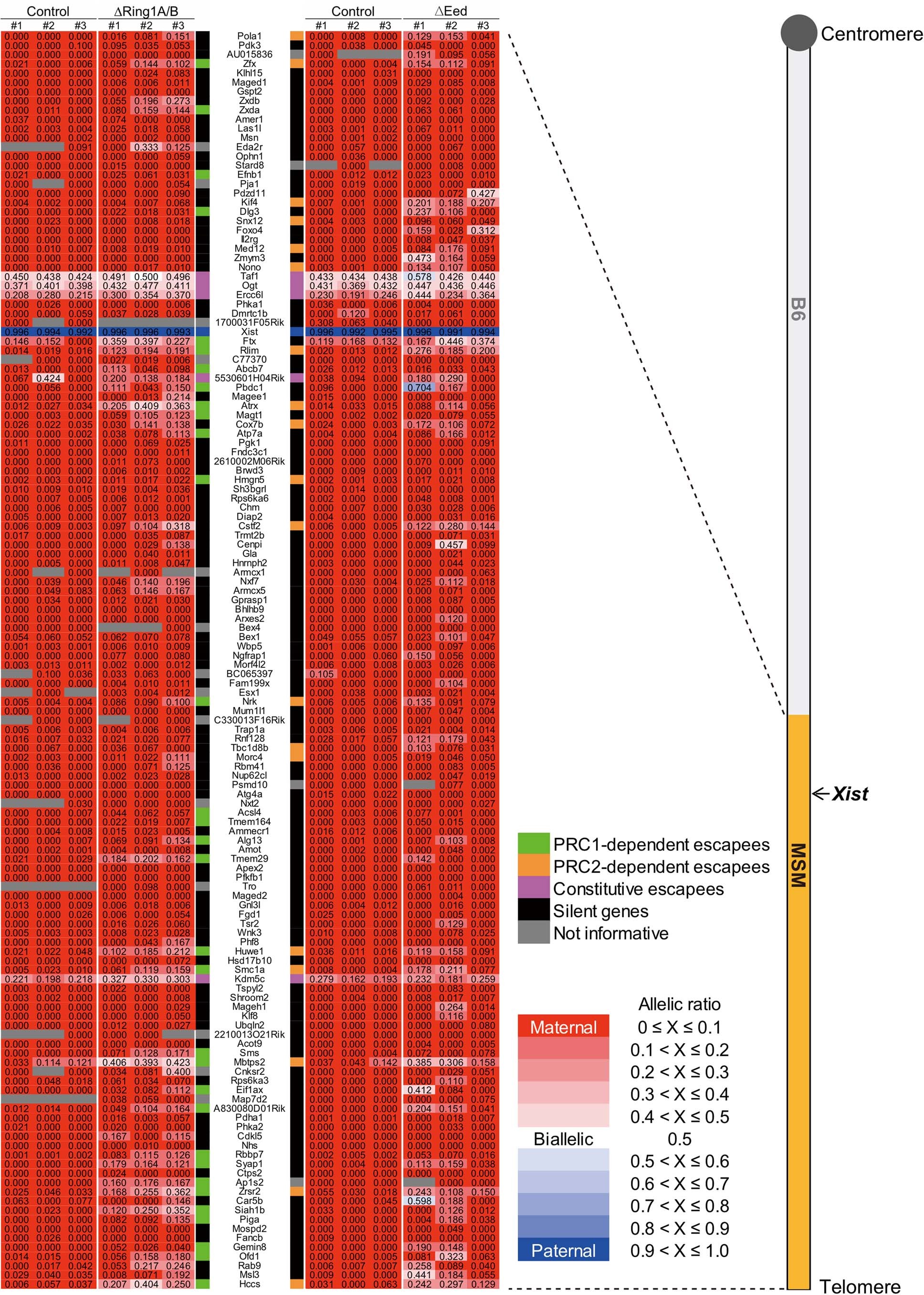 Extended Data Fig 5: Details of allele-specific RNA-seq.