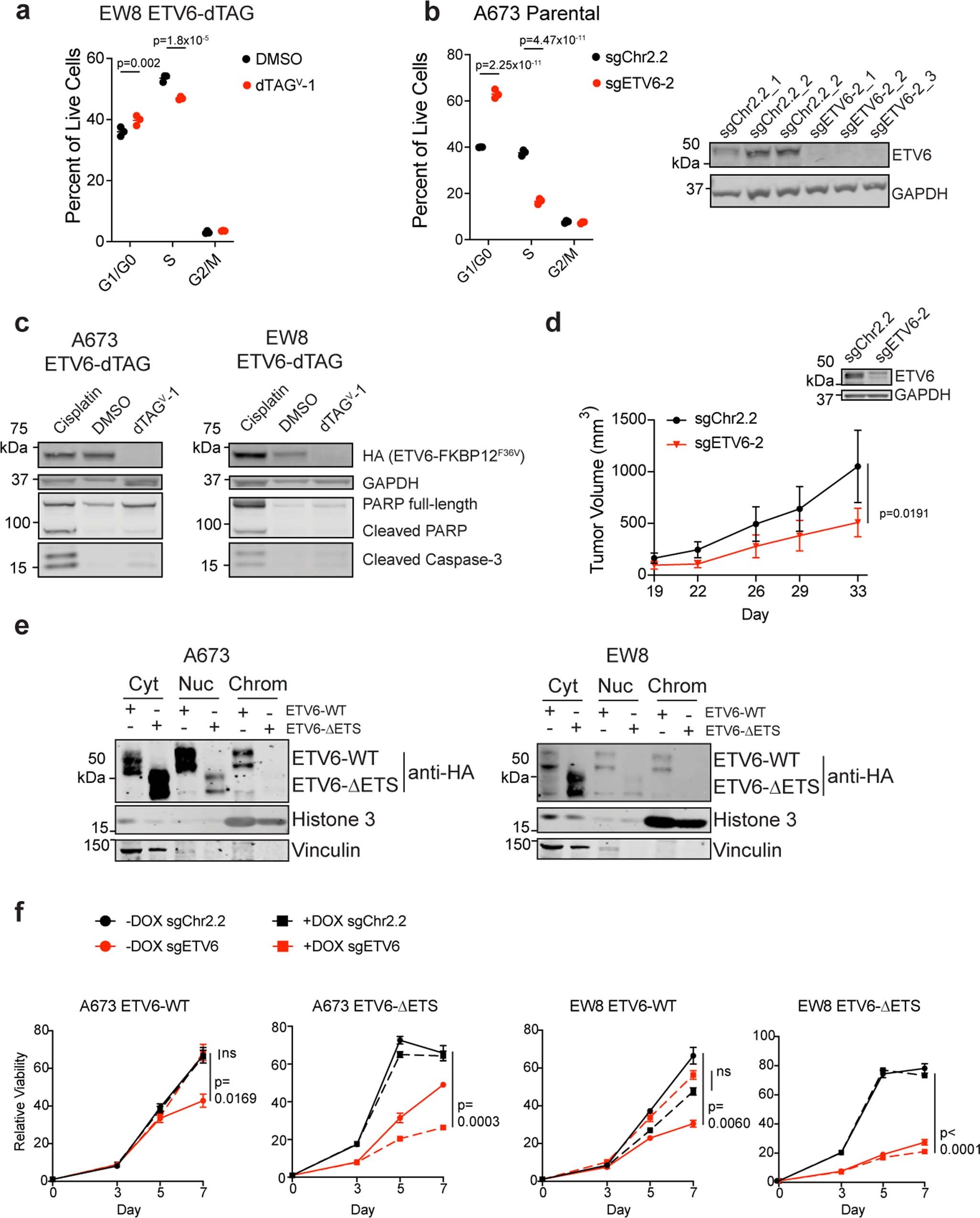 Extended Data Fig. 2: ETV6 promotes growth in Ewing sarcoma cells.