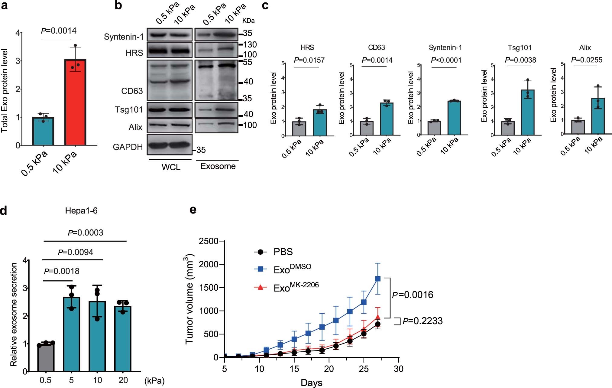 Extended Data Fig. 4: Hepa1-6 cells secreted more exosomes when grown on stiff Matrix.