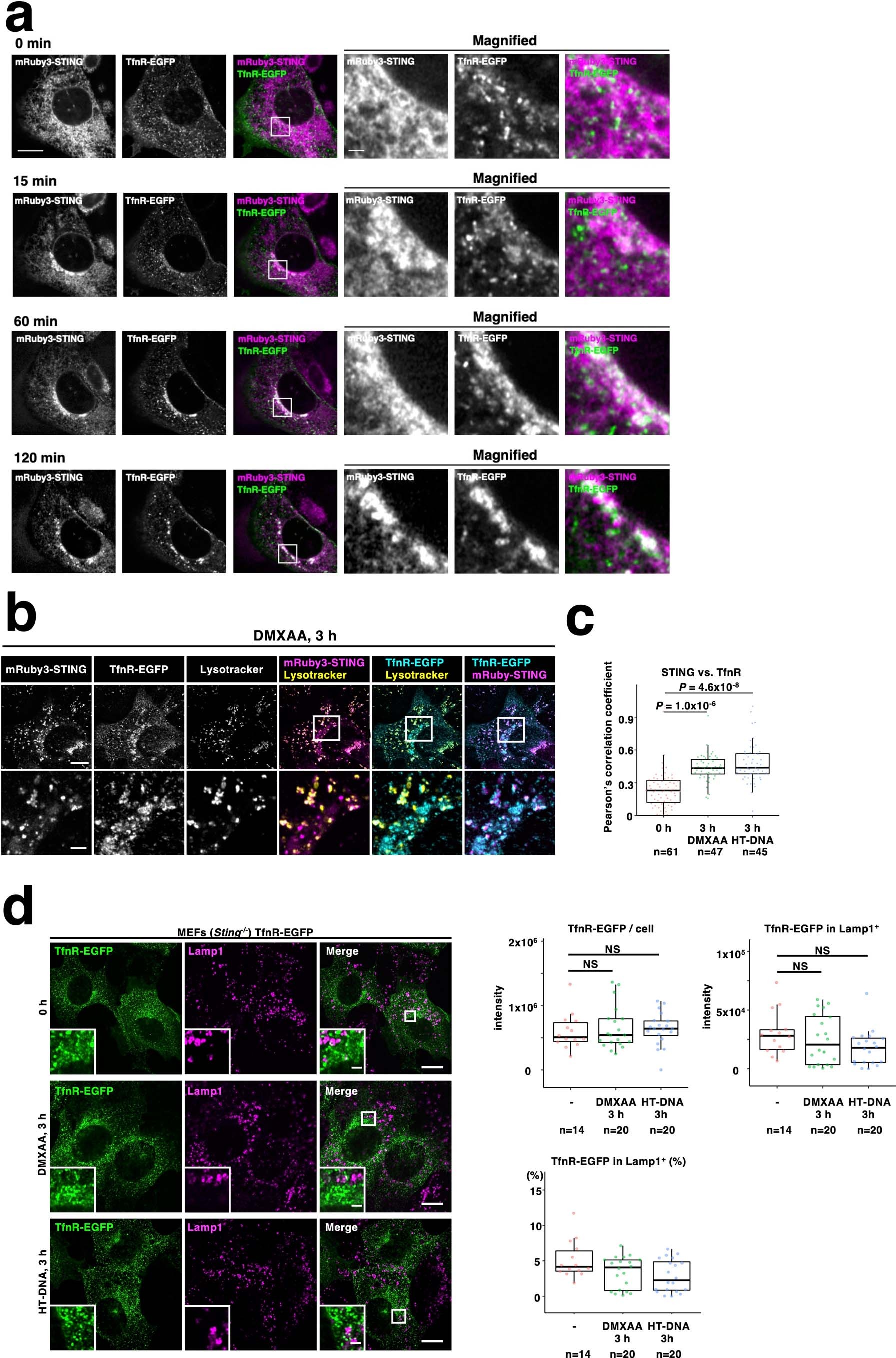 Extended Data Fig. 3