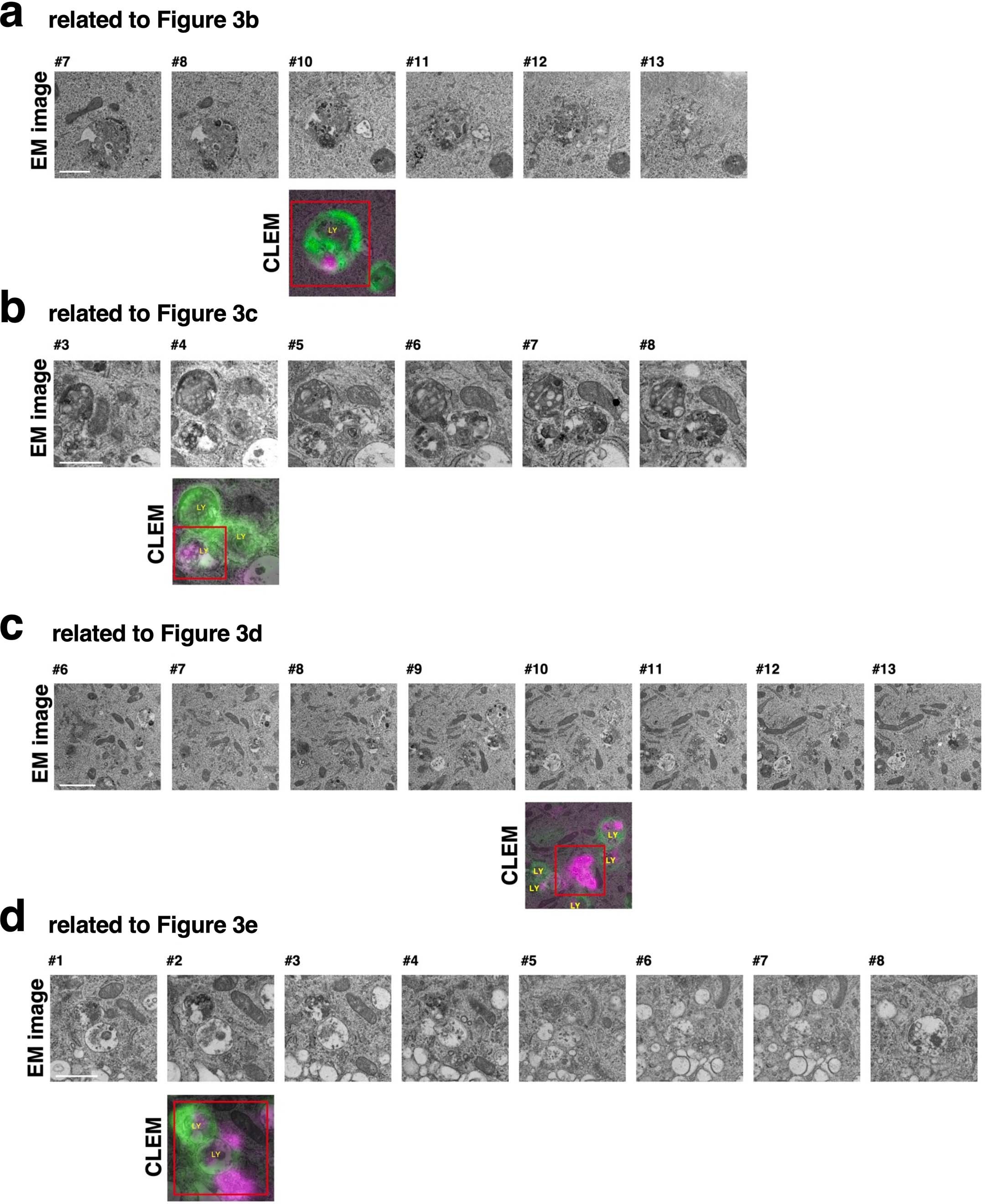 Extended Data Fig. 5