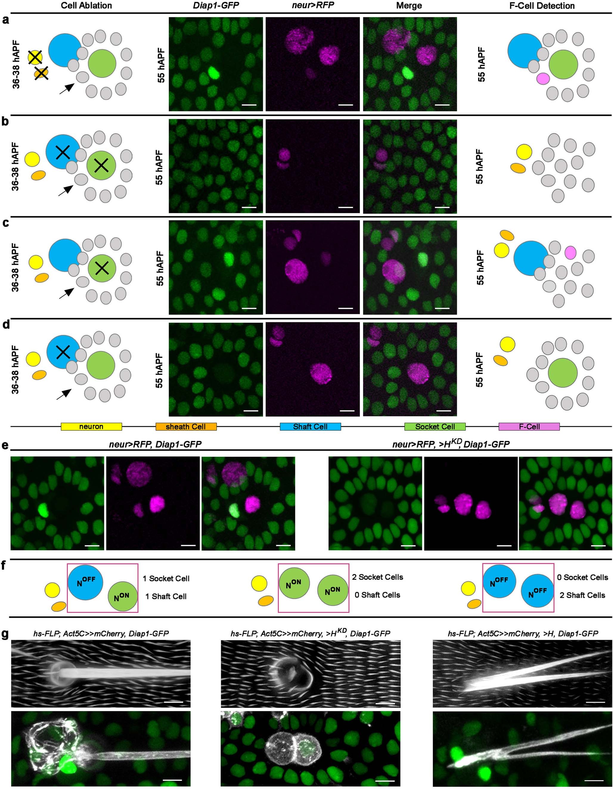 Extended Data Fig. 4