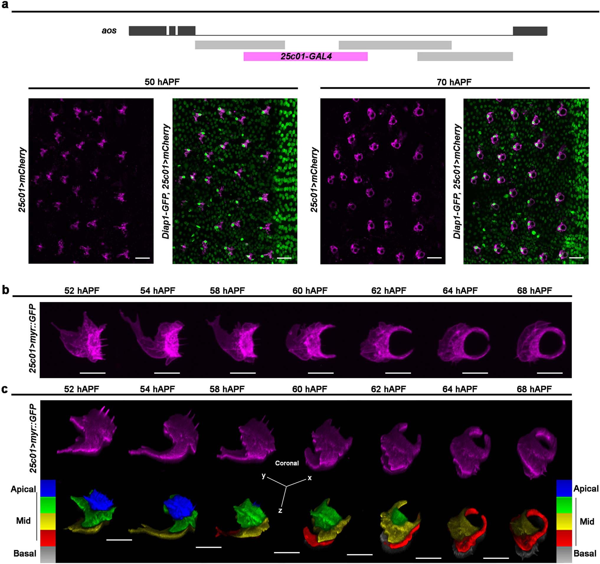 Extended Data Fig. 7