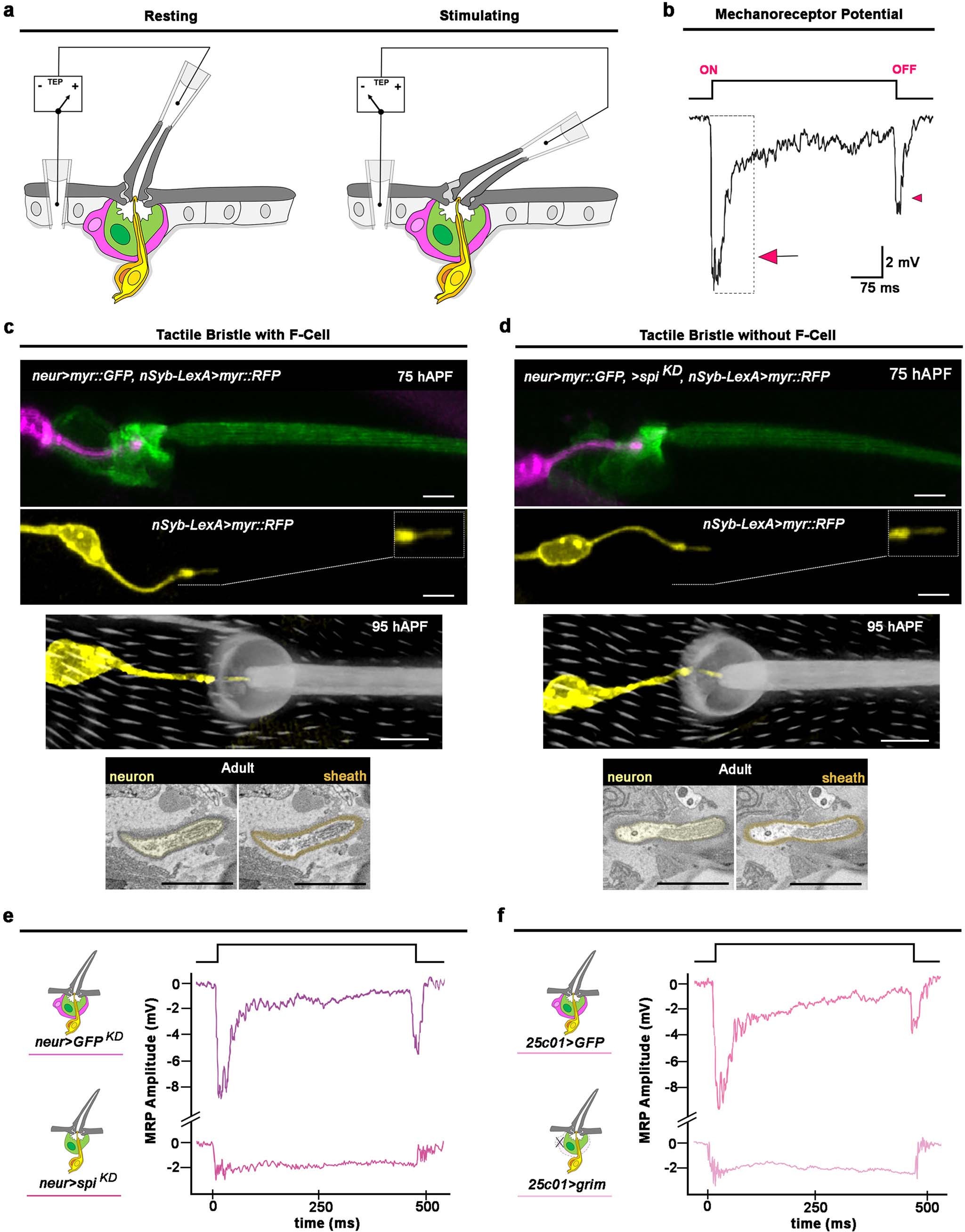 Extended Data Fig. 10
