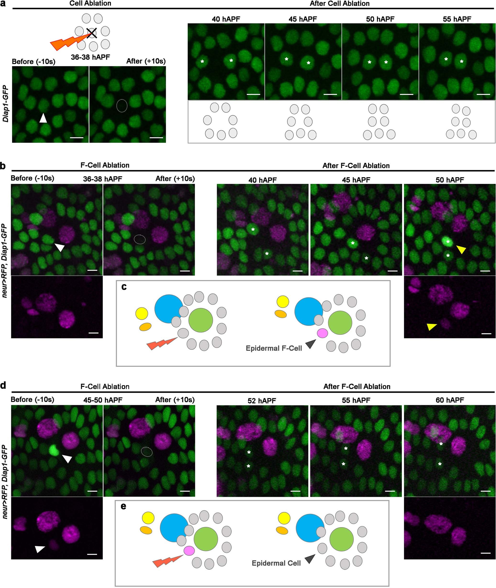 Extended Data Fig. 3
