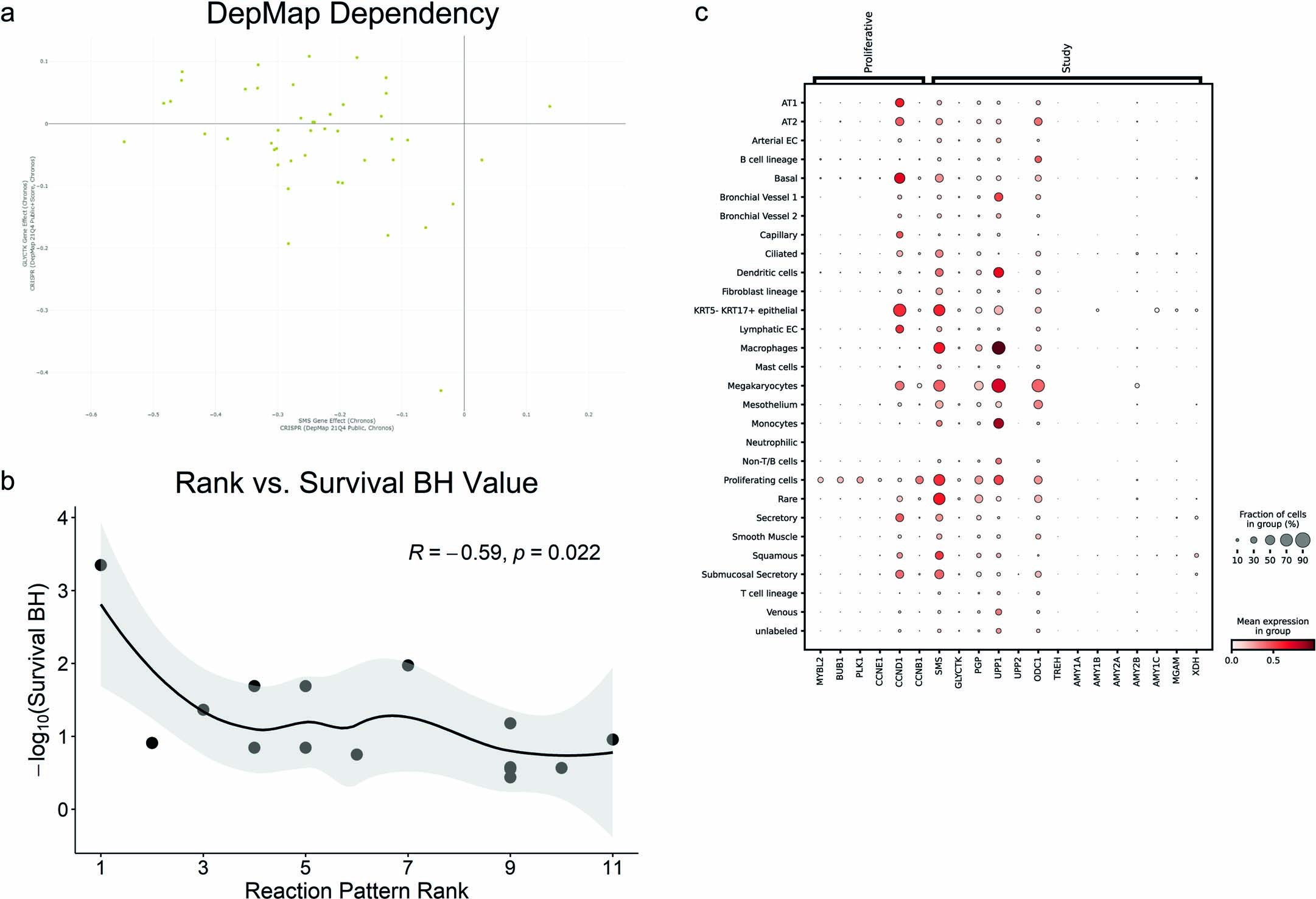 Extended Data Fig. 6: Correlations between reaction pattern rank, survival statistic, and gene dependency in lung adenocarcinomas and associated cell types.
