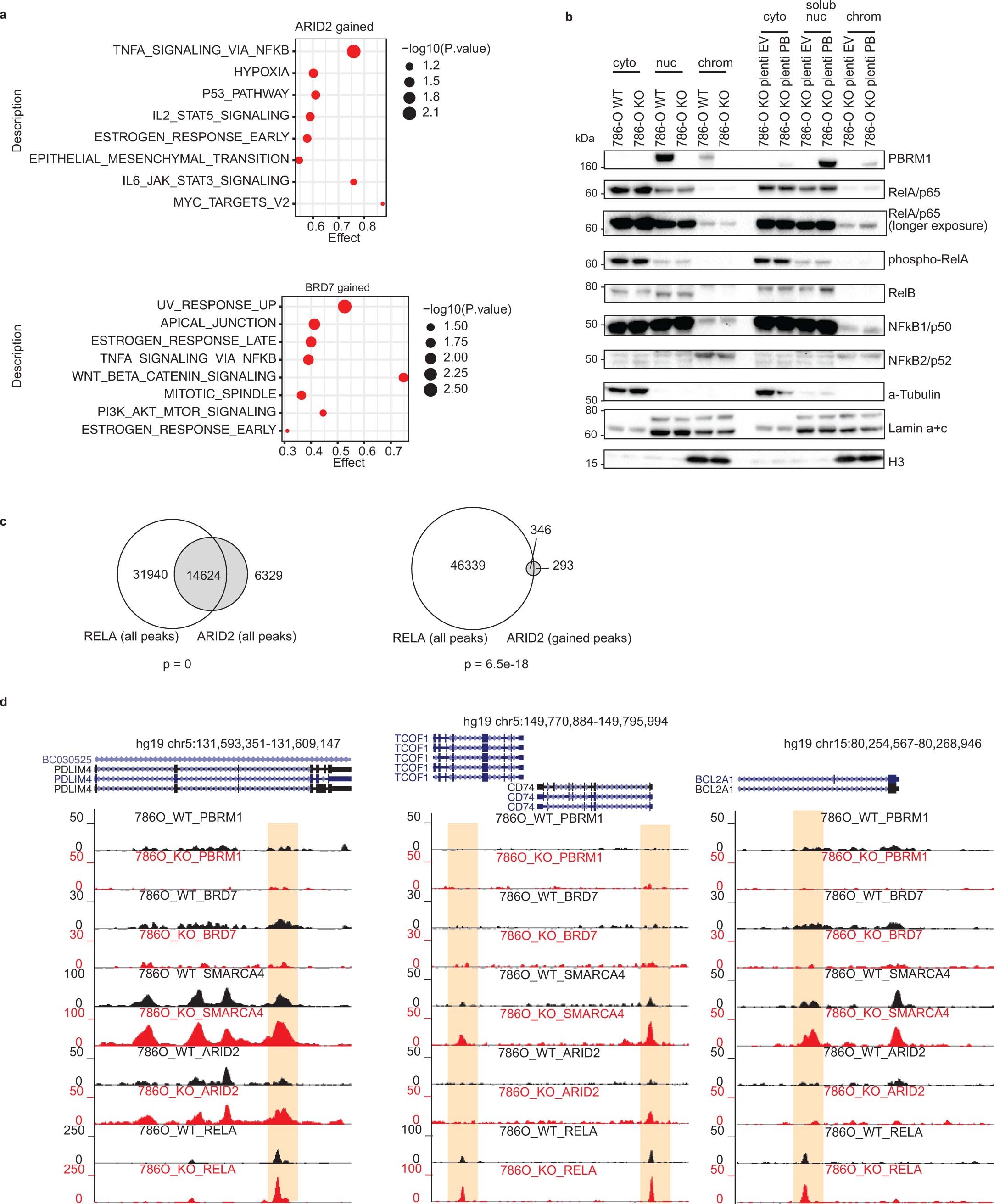 Extended Data Fig. 7
