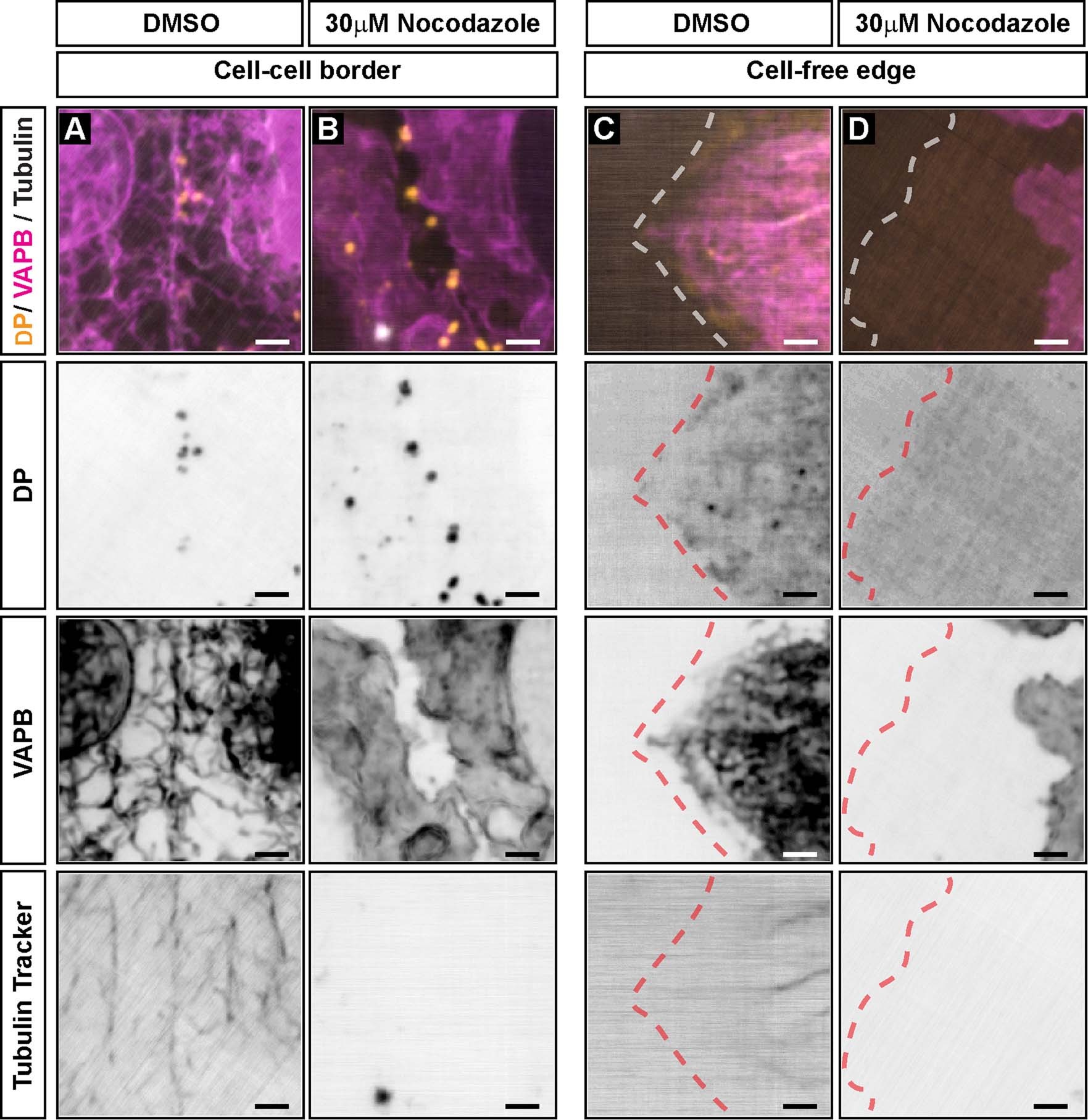 Extended Data Fig. 7