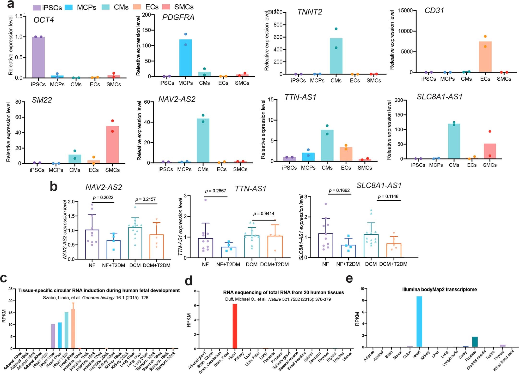 Extended Data Fig. 1