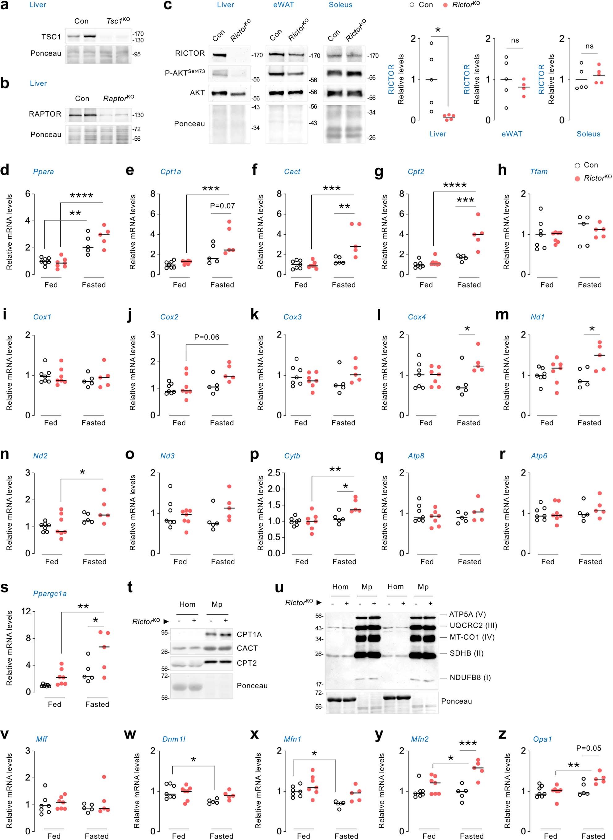 Extended Data Fig. 3