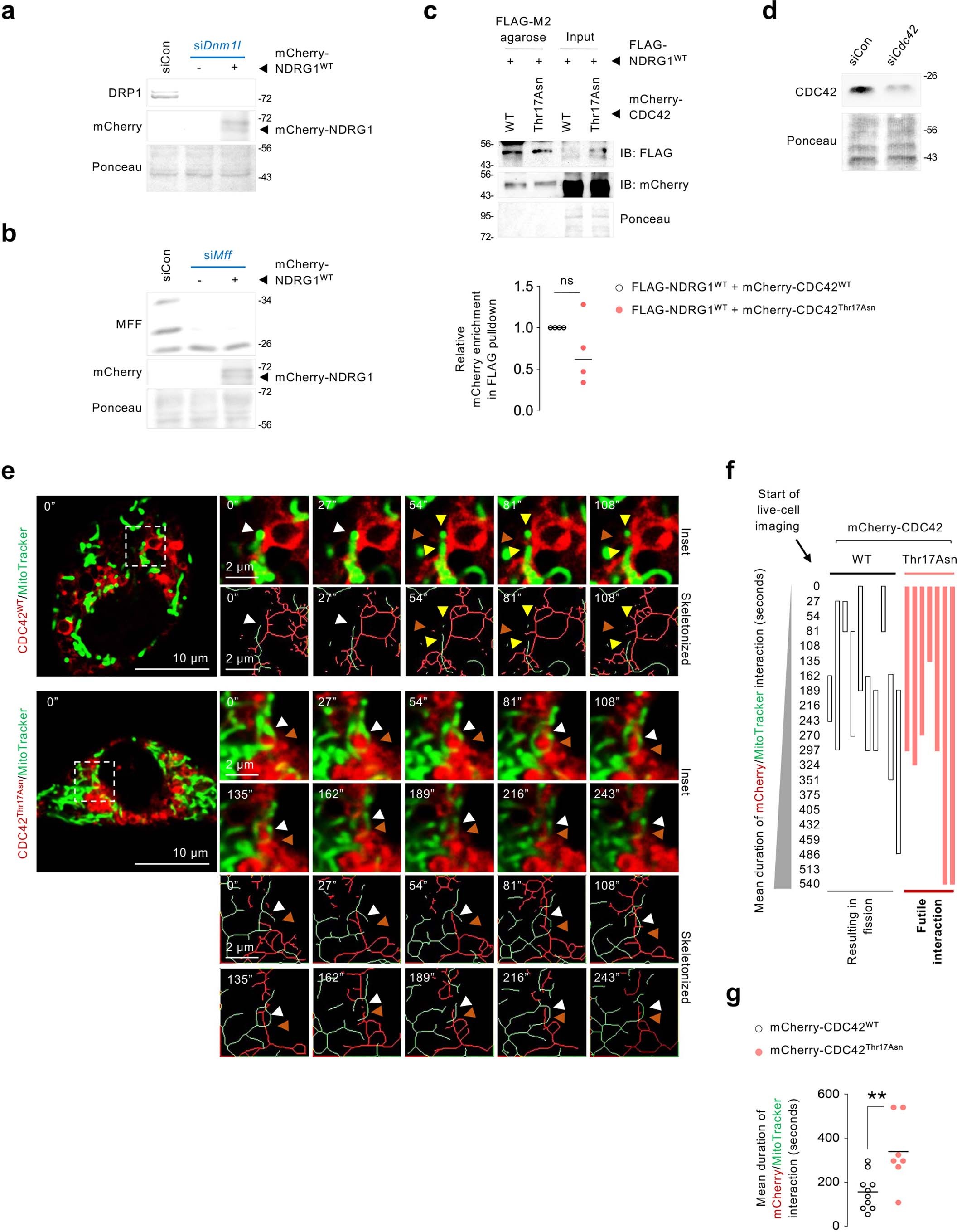 Extended Data Fig. 9
