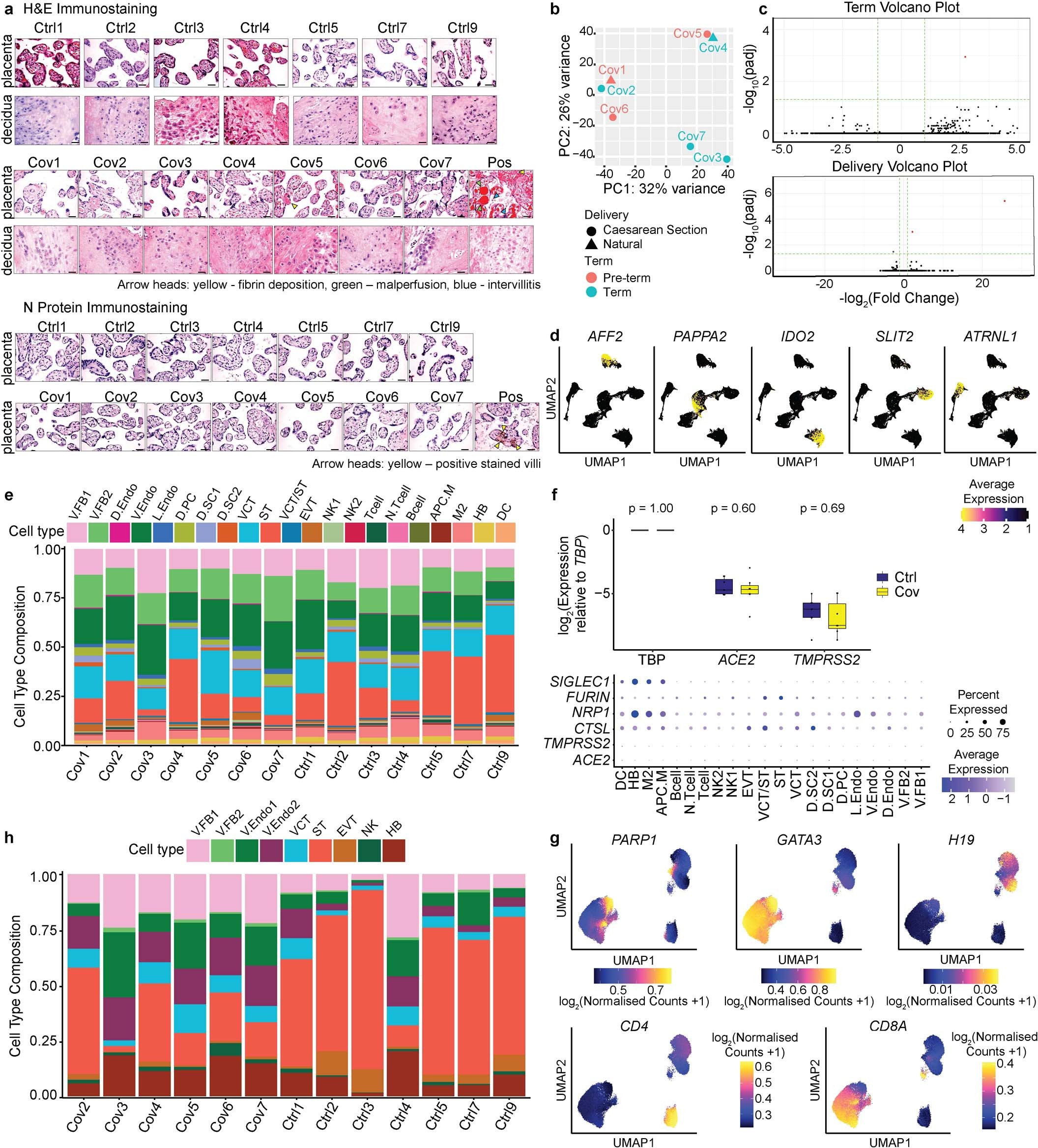 Extended Data Fig. 2: Quality control and cell-type analysis for samples and multi-omic datasets.