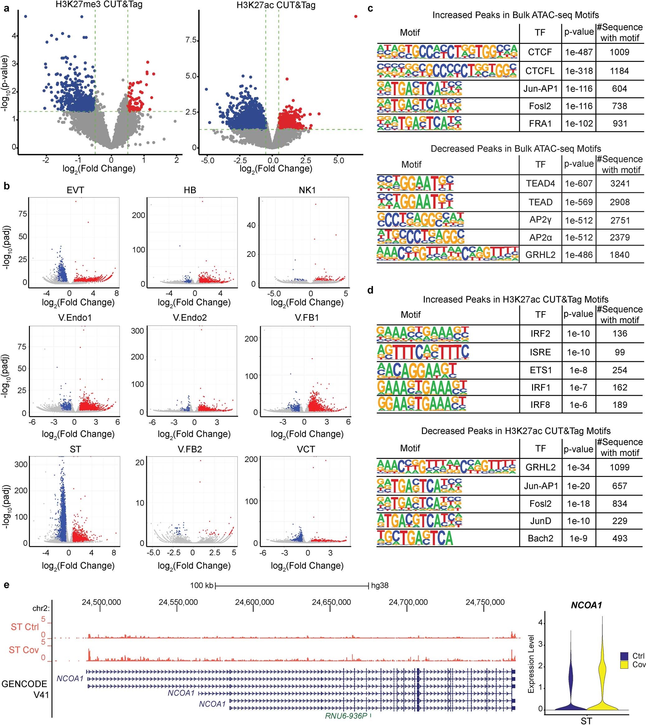 Extended Data Fig. 4: Characterization of epigenomic changes in patient samples.