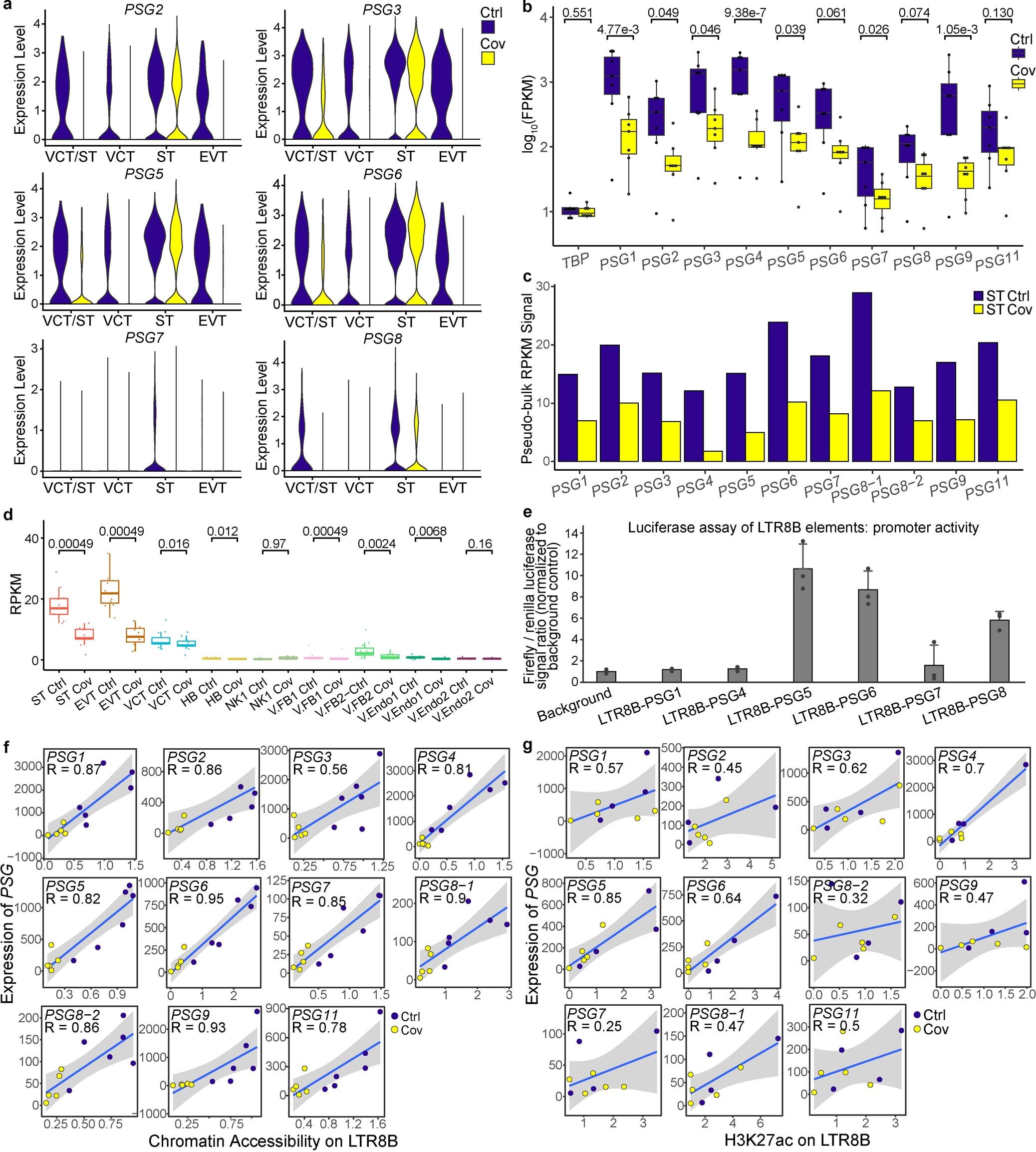 Extended Data Fig. 8: Downregulation of the expression of PSG genes due to SARS-CoV-2 infection during pregnancy.