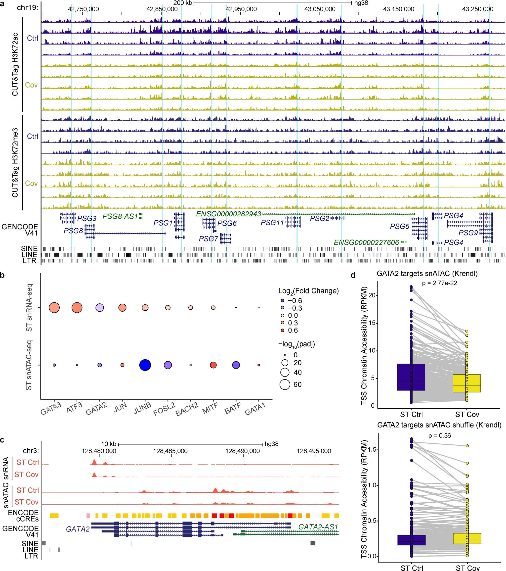 Extended Data Fig. 10: Epigenetic regulation of PSG genes in trophoblasts and decreased expression of GATA2 in patient samples.