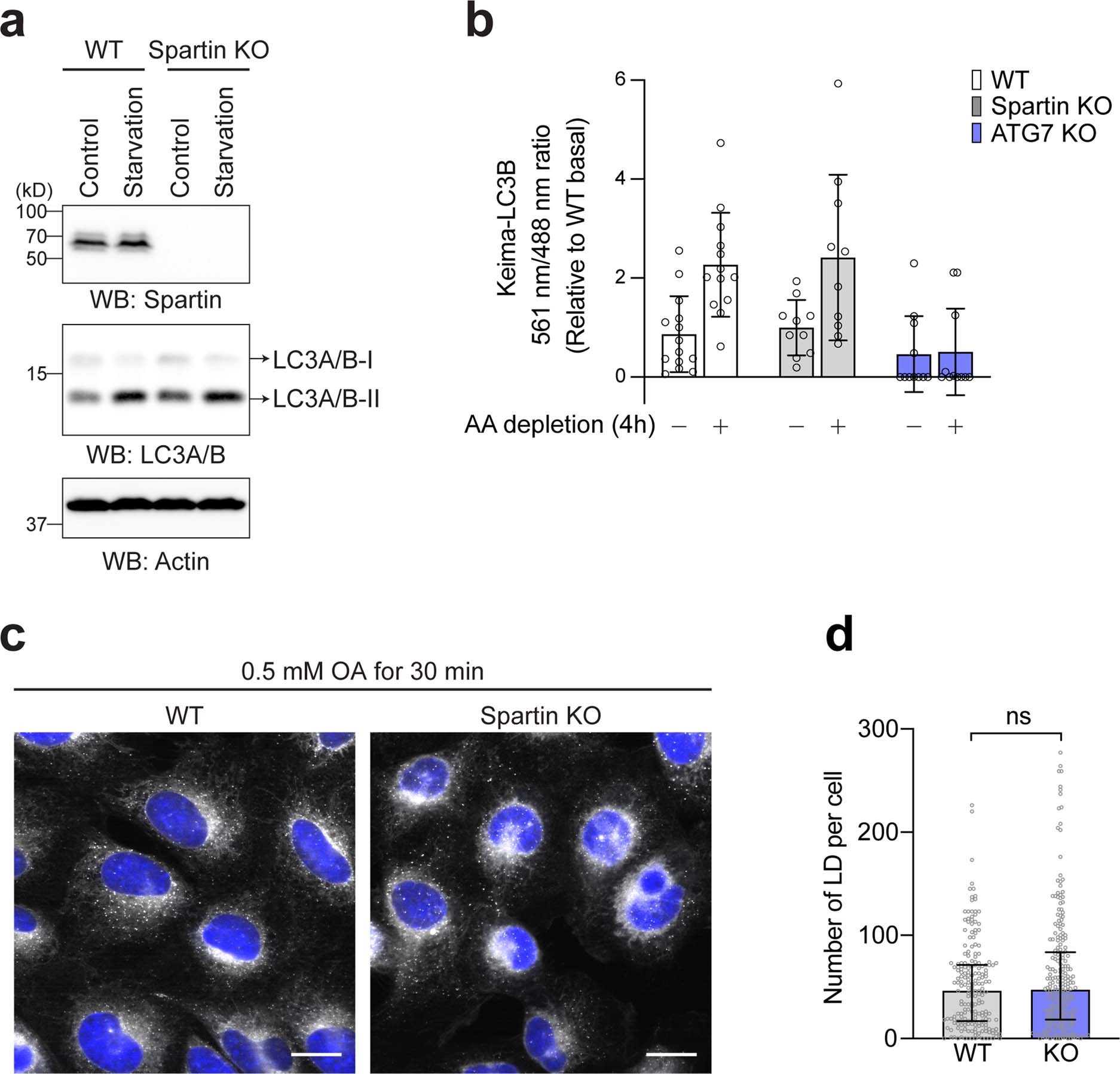 Extended Data Fig. 5