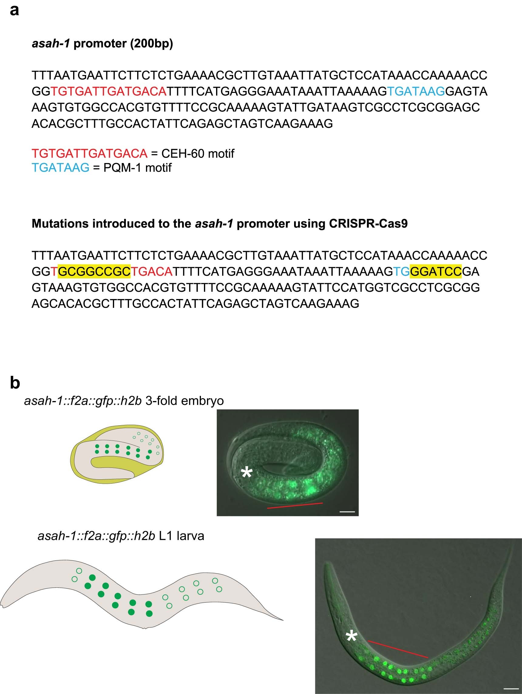 Extended Data Fig. 7