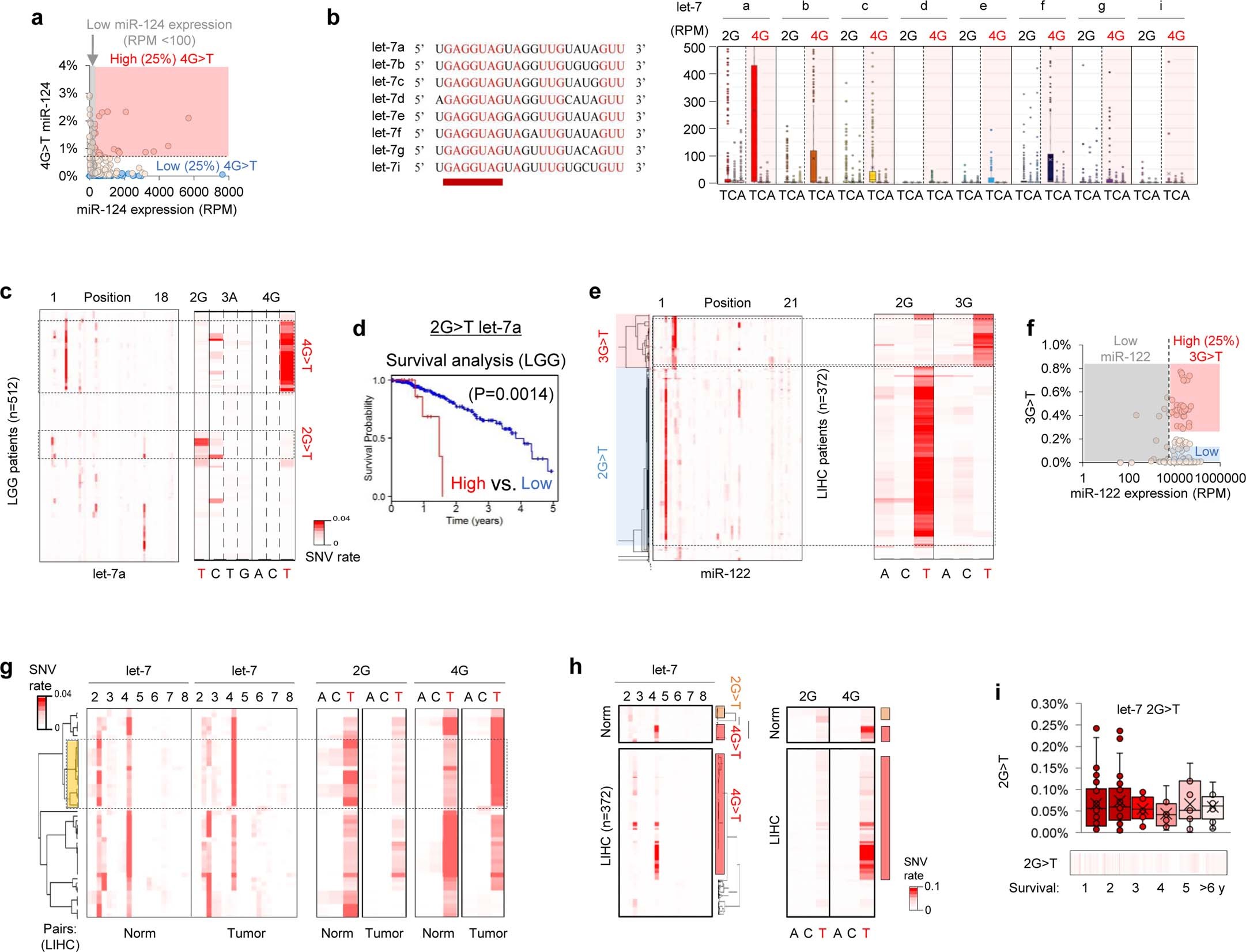 Extended Data Fig. 2: Positional G > T variants in miRNA sequencing associate with LGG and LIHC patients.
