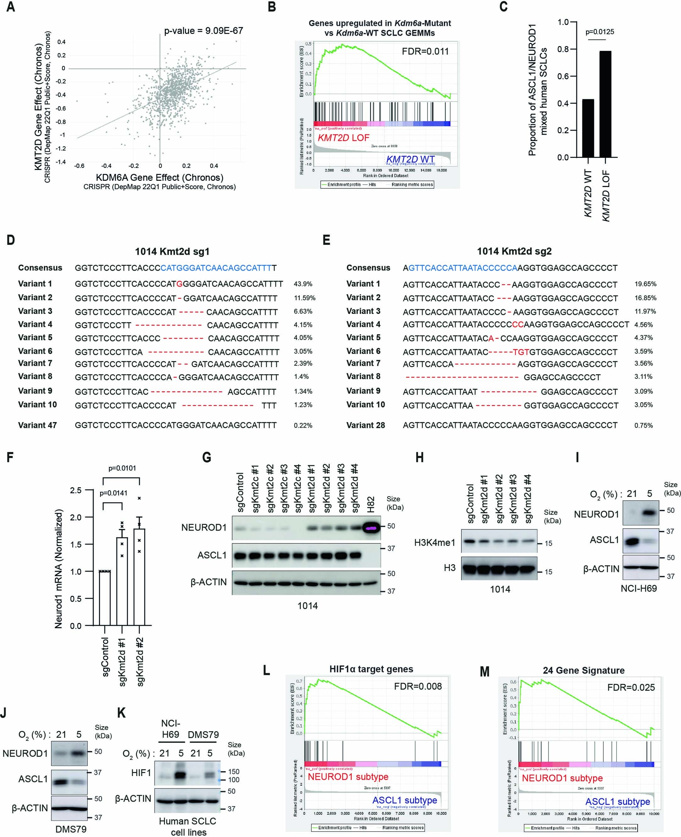 Extended Data Fig. 10
