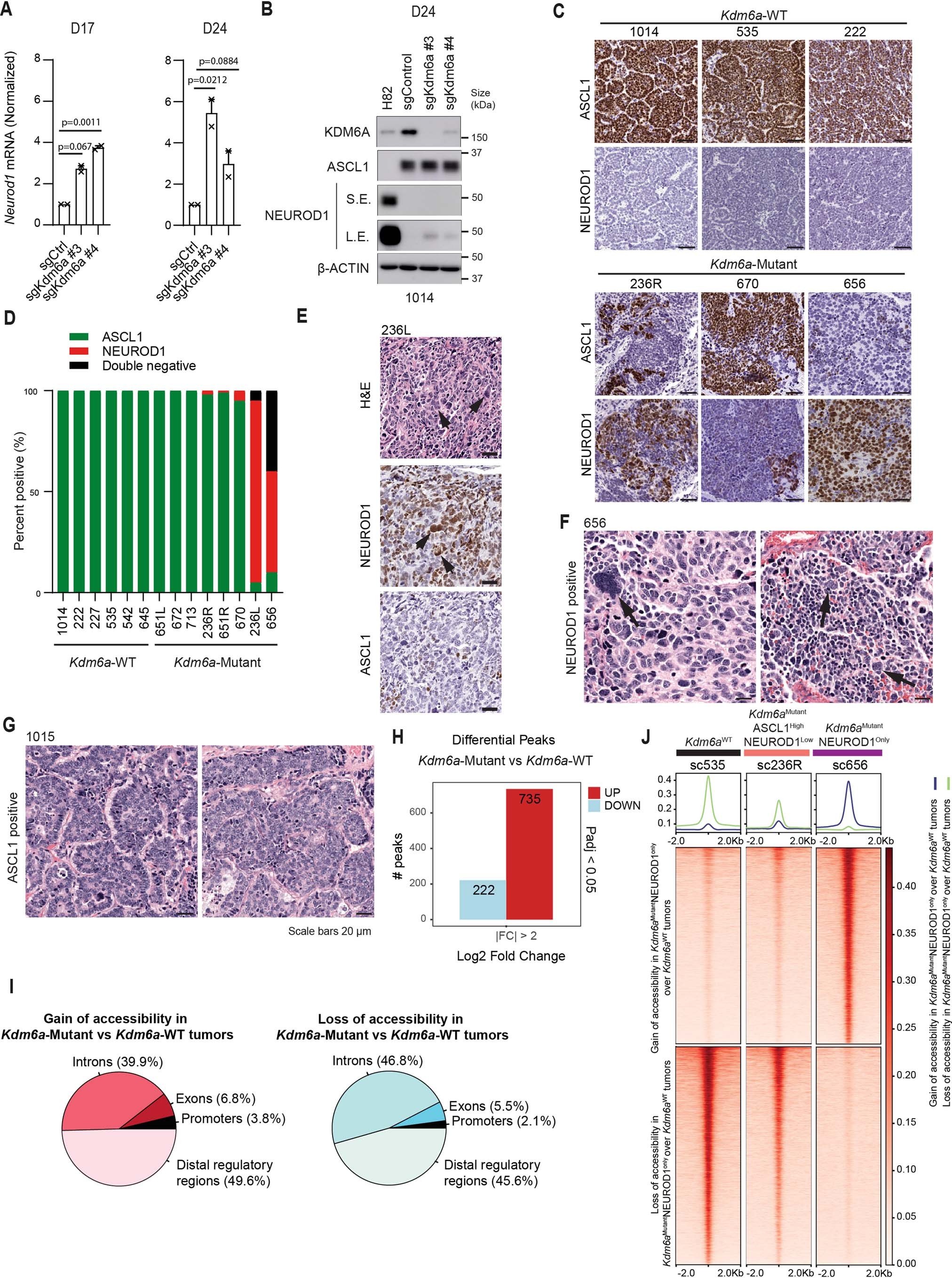Extended Data Fig. 2