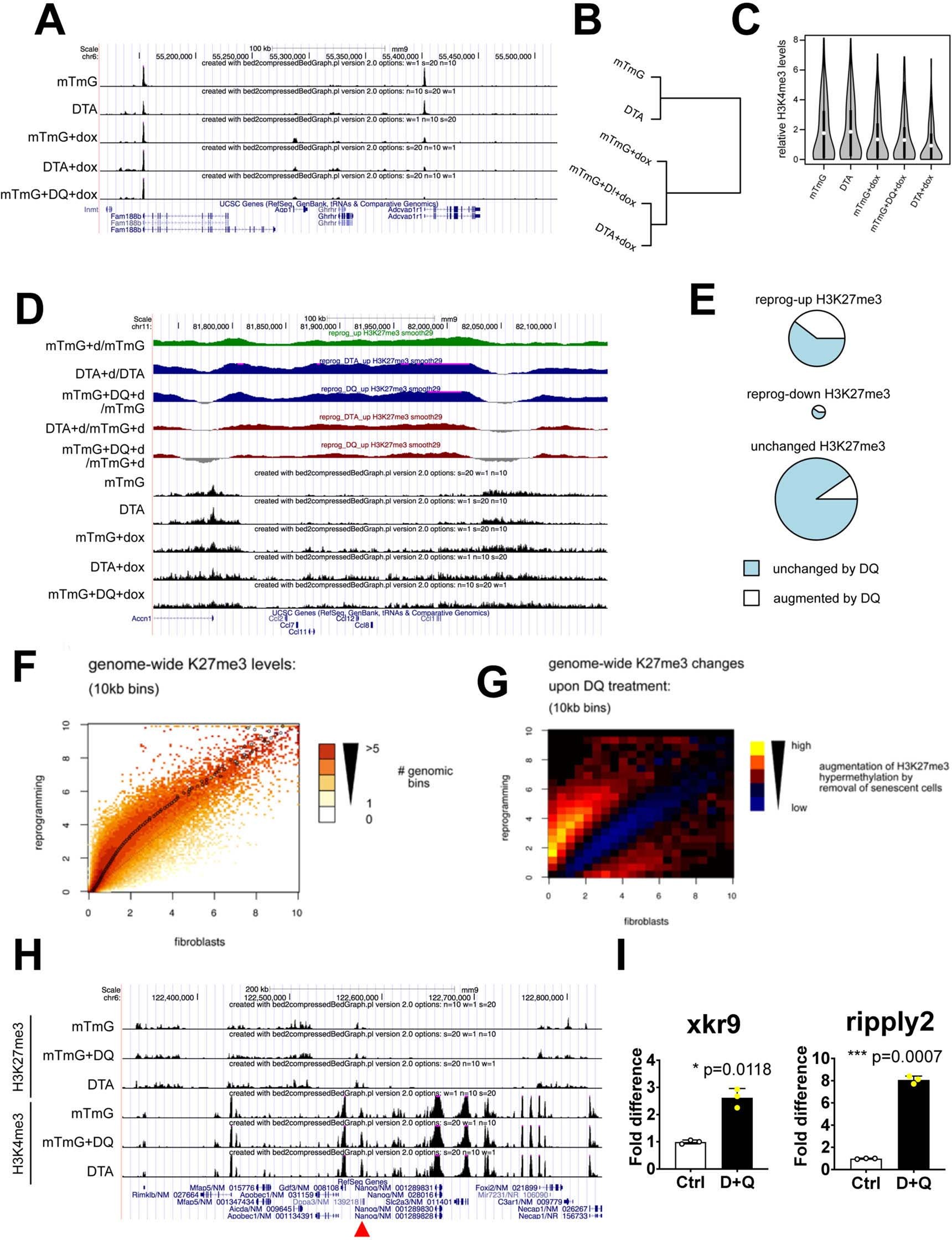 Extended Data Fig. 4: Deep sequencing reveals methylation pattern during iPS reprogramming in absence of p16High senescent cells.