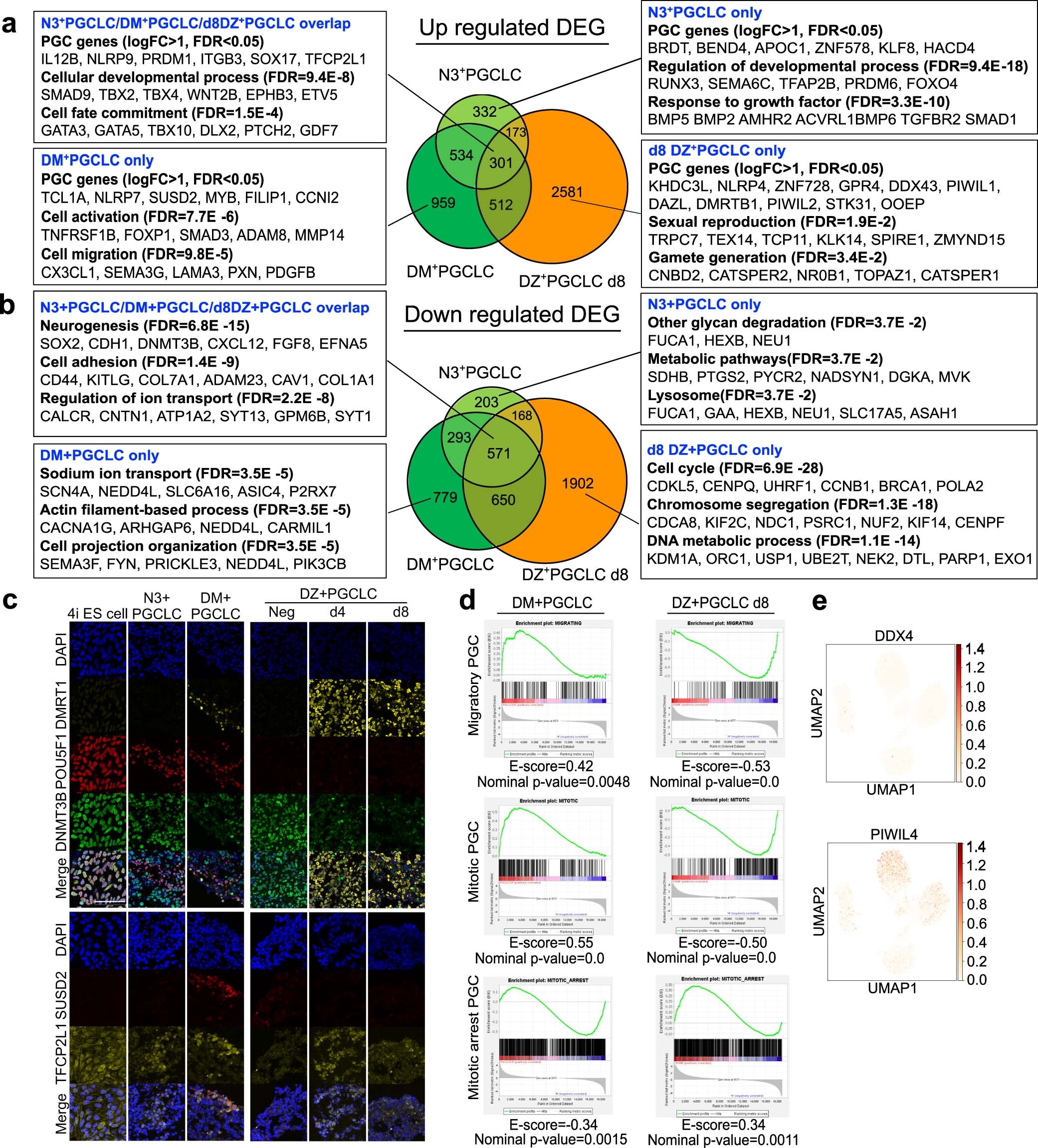 Extended Data Fig. 4: Transcriptome network in in vitro induced PGCLCs.
