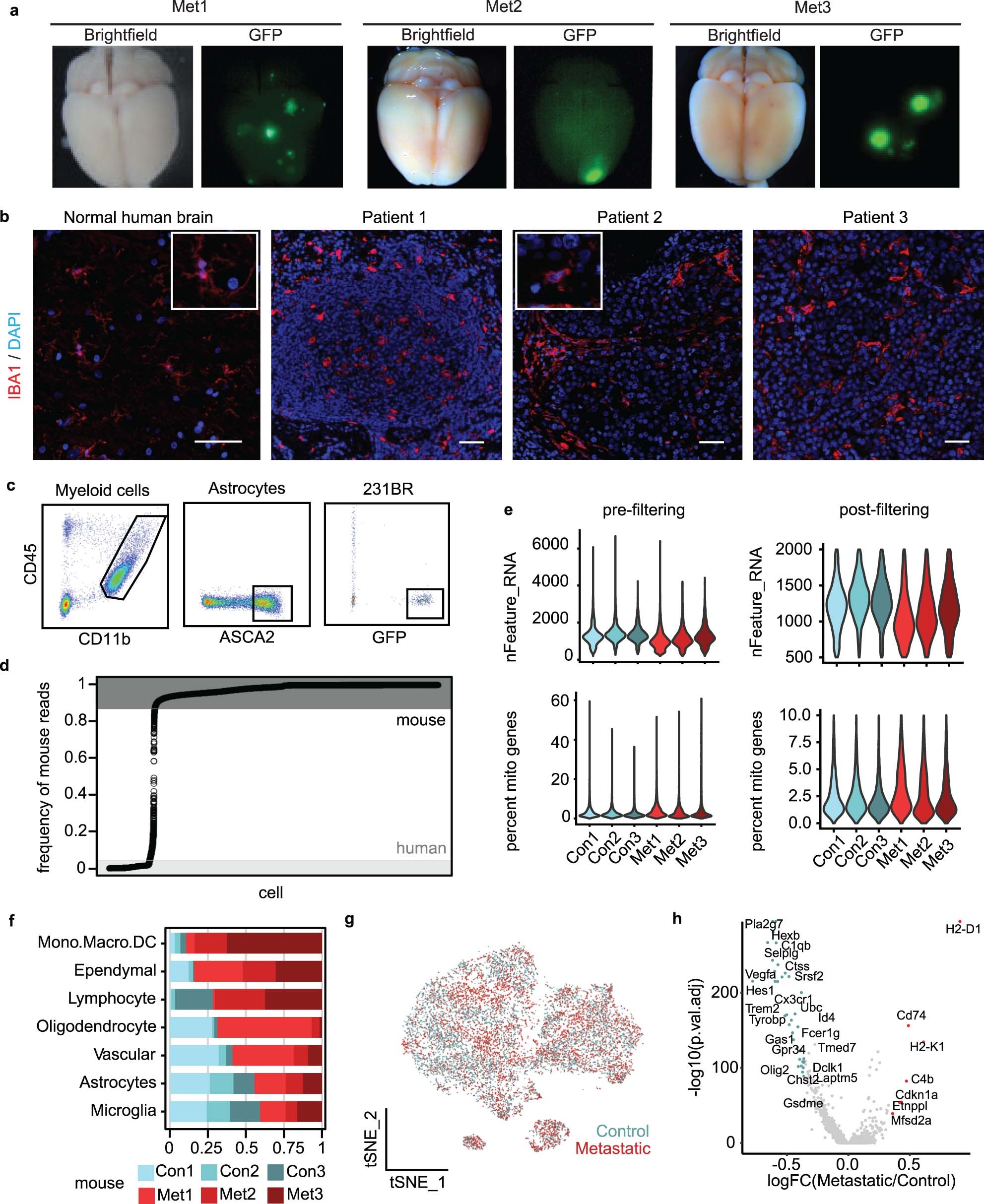 Extended Data Fig. 1
