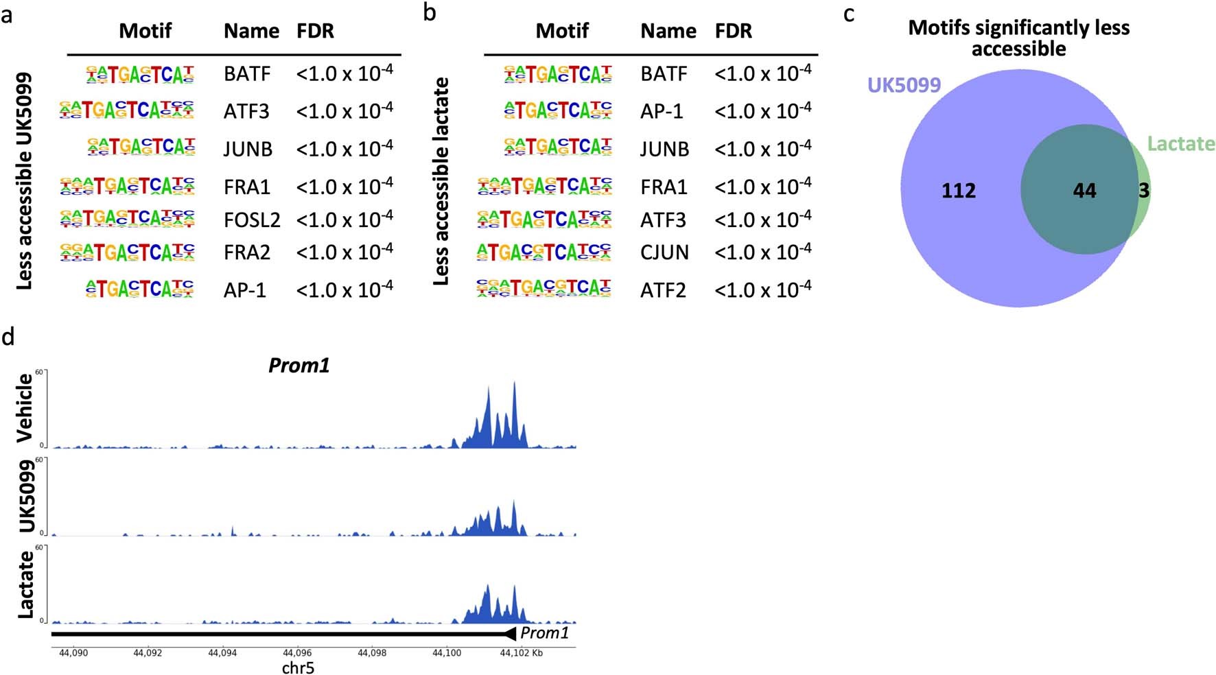 Extended Data Fig. 9: Analysis of less accessible transcription factor binding motifs in mouse prostate organoids treated with UK5099 or lactate supplementation.