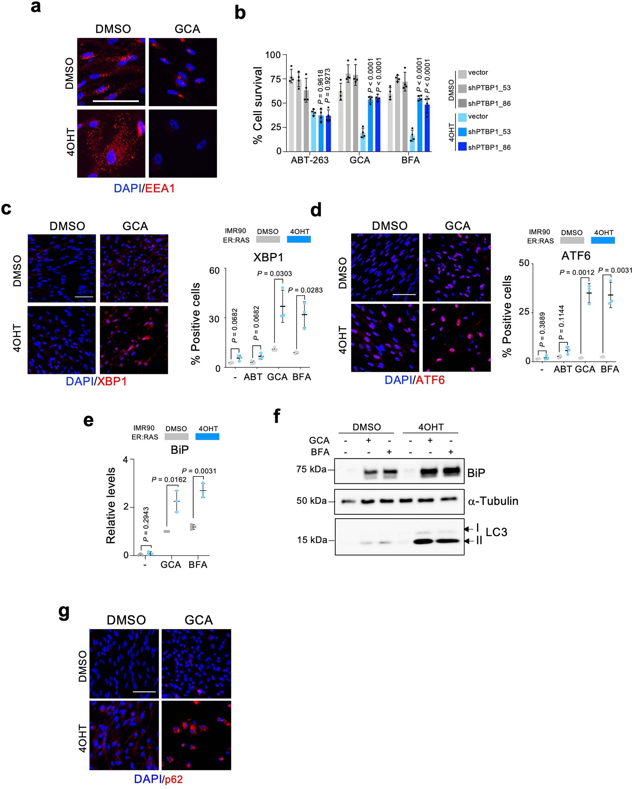 Extended Data Fig. 4