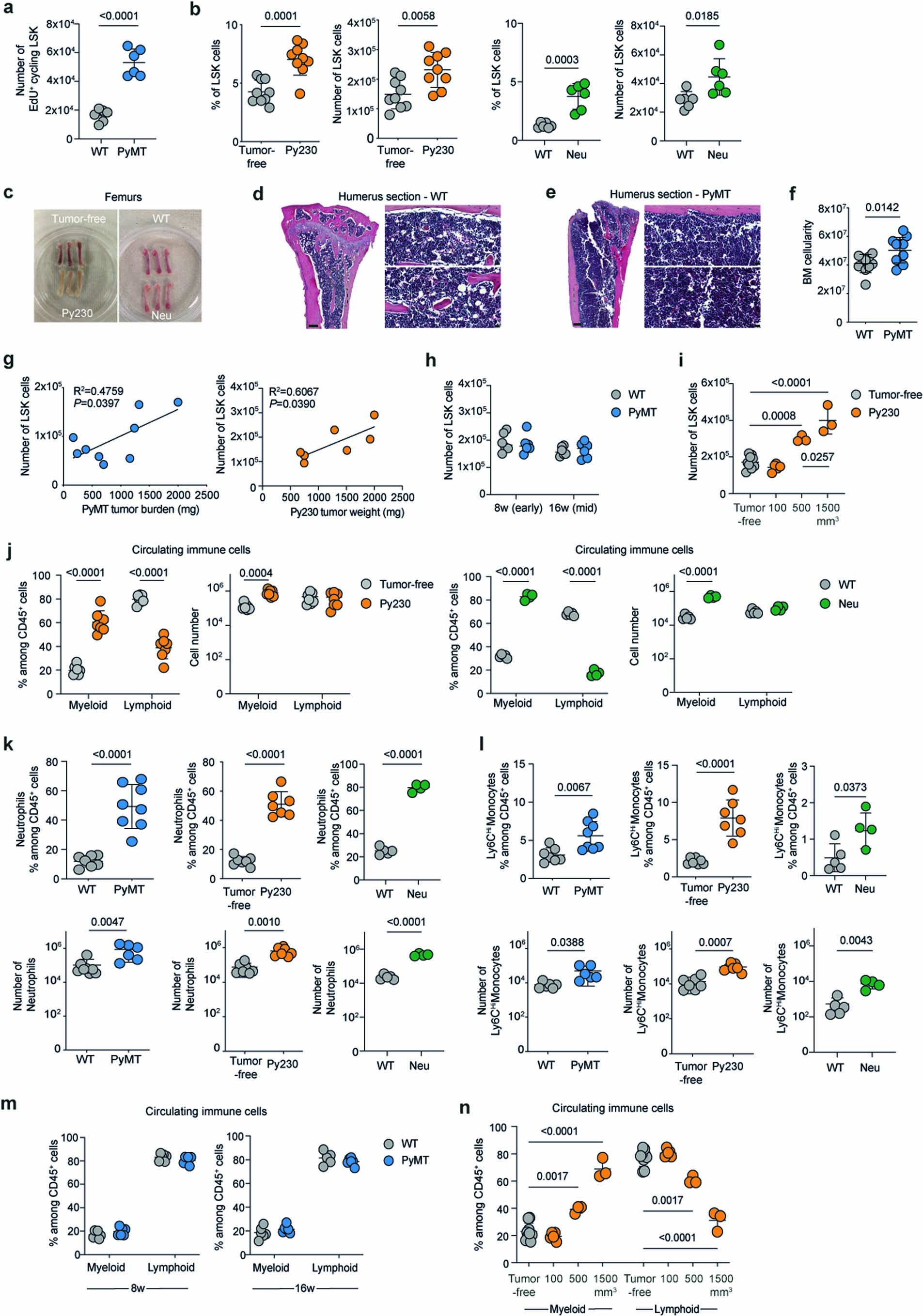 Extended Data Fig. 1: Breast tumors remotely rewire HSPC differentiation towards myelopoiesis in various breast cancer models.