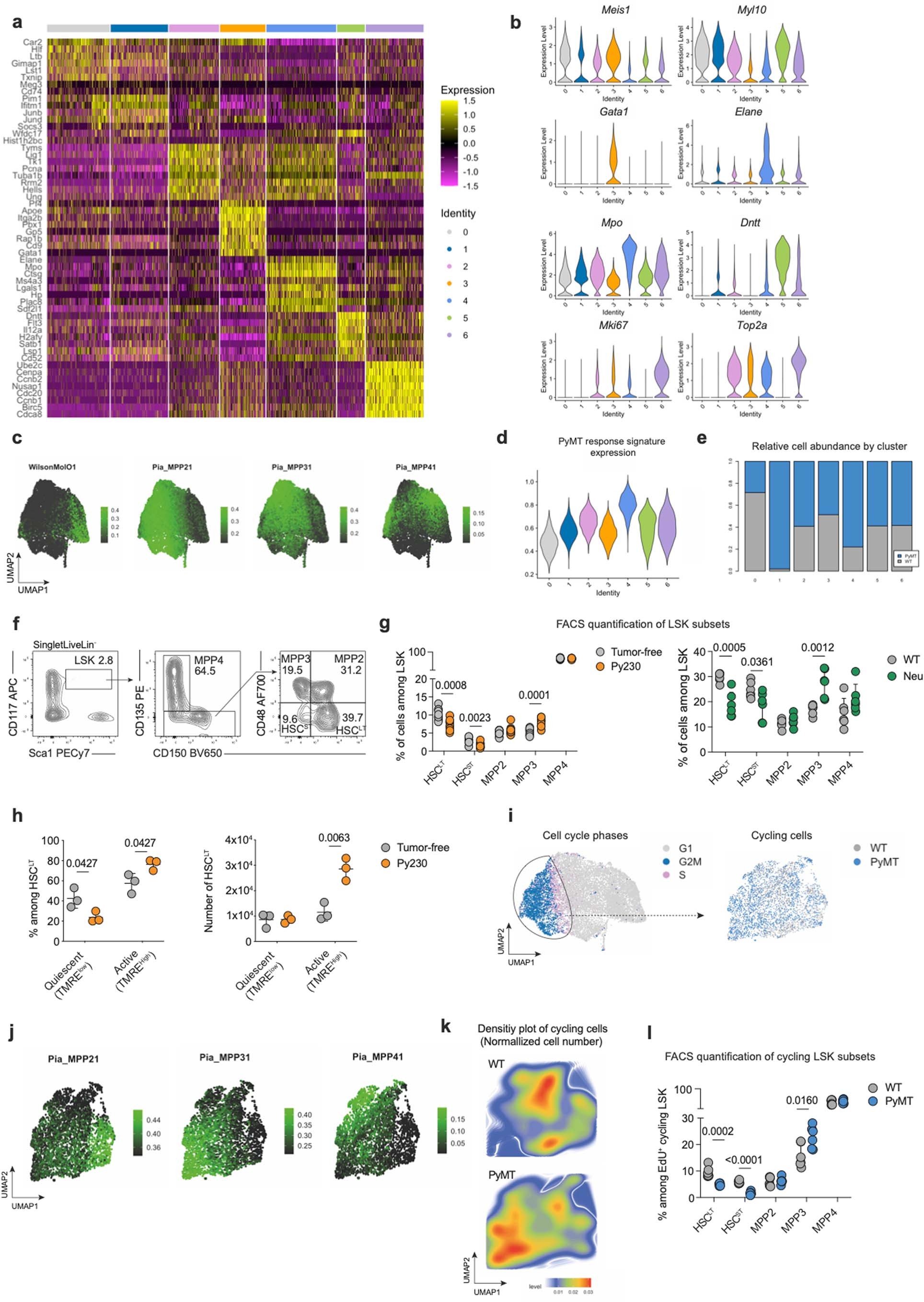 Extended Data Fig. 2: Transcriptional rewiring of HSPCs in the BM during breast cancer.