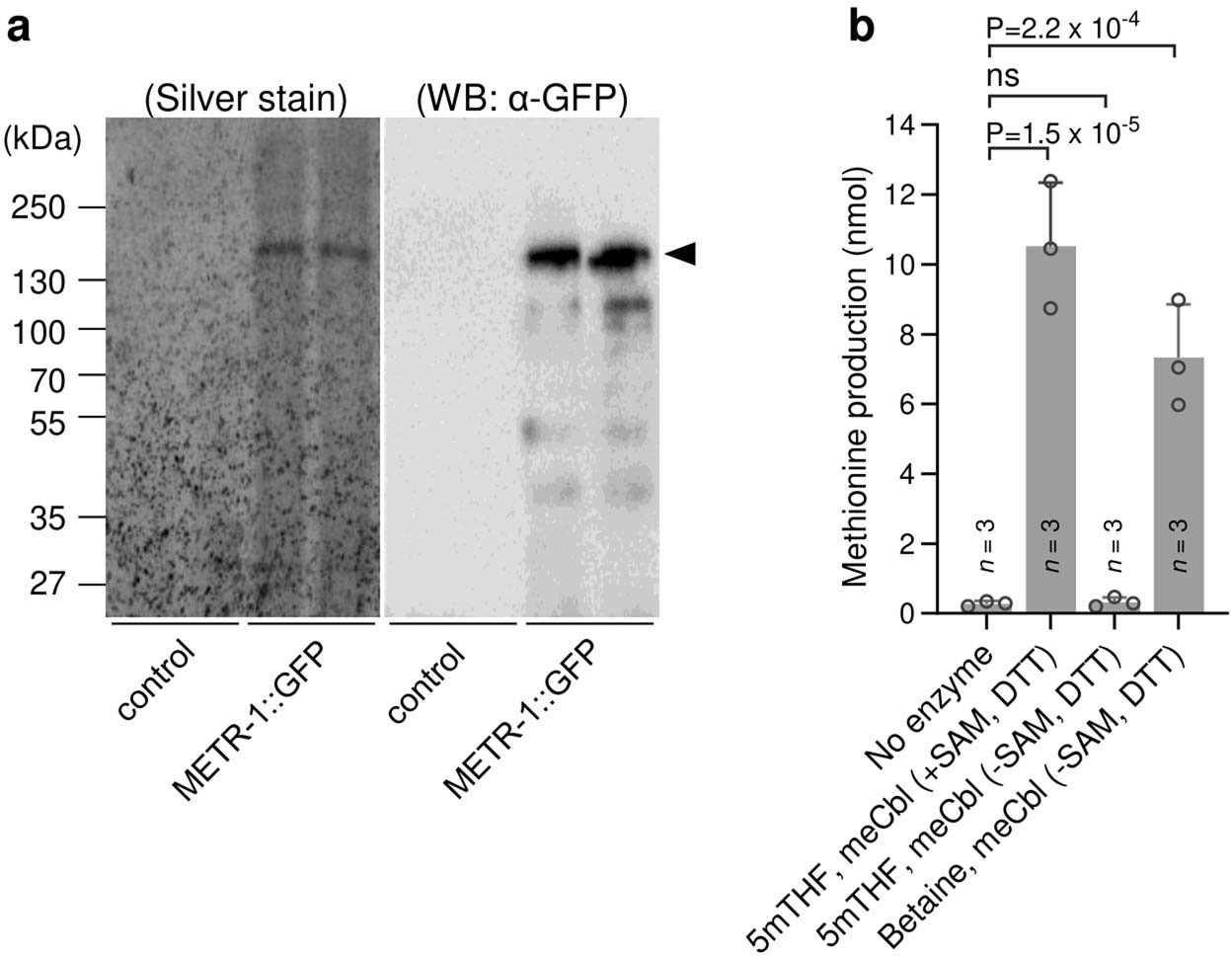 Extended Data Fig. 6