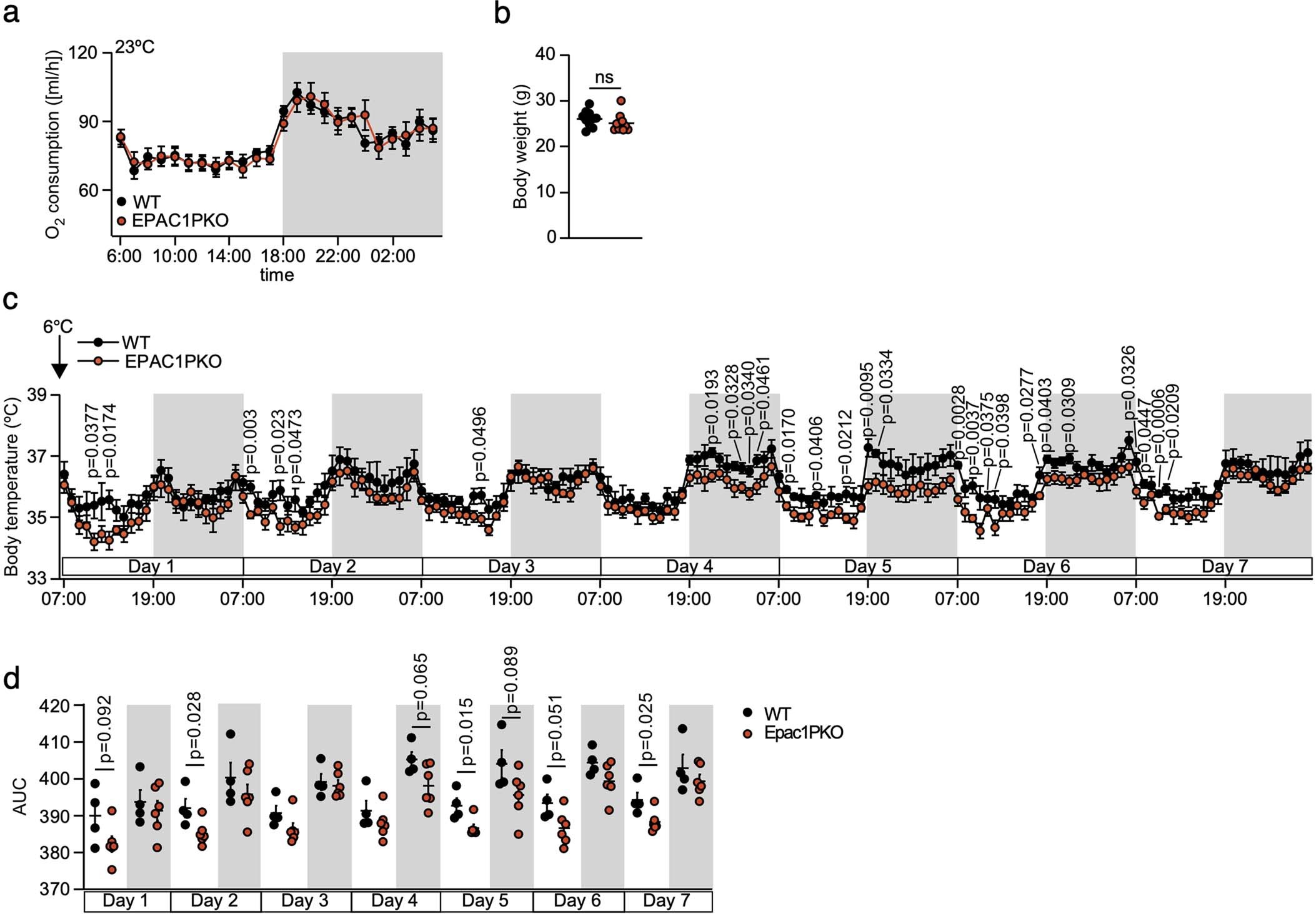 Extended Data Fig. 6: Mice lacking EPAC1 in PDGFRα+ cells.