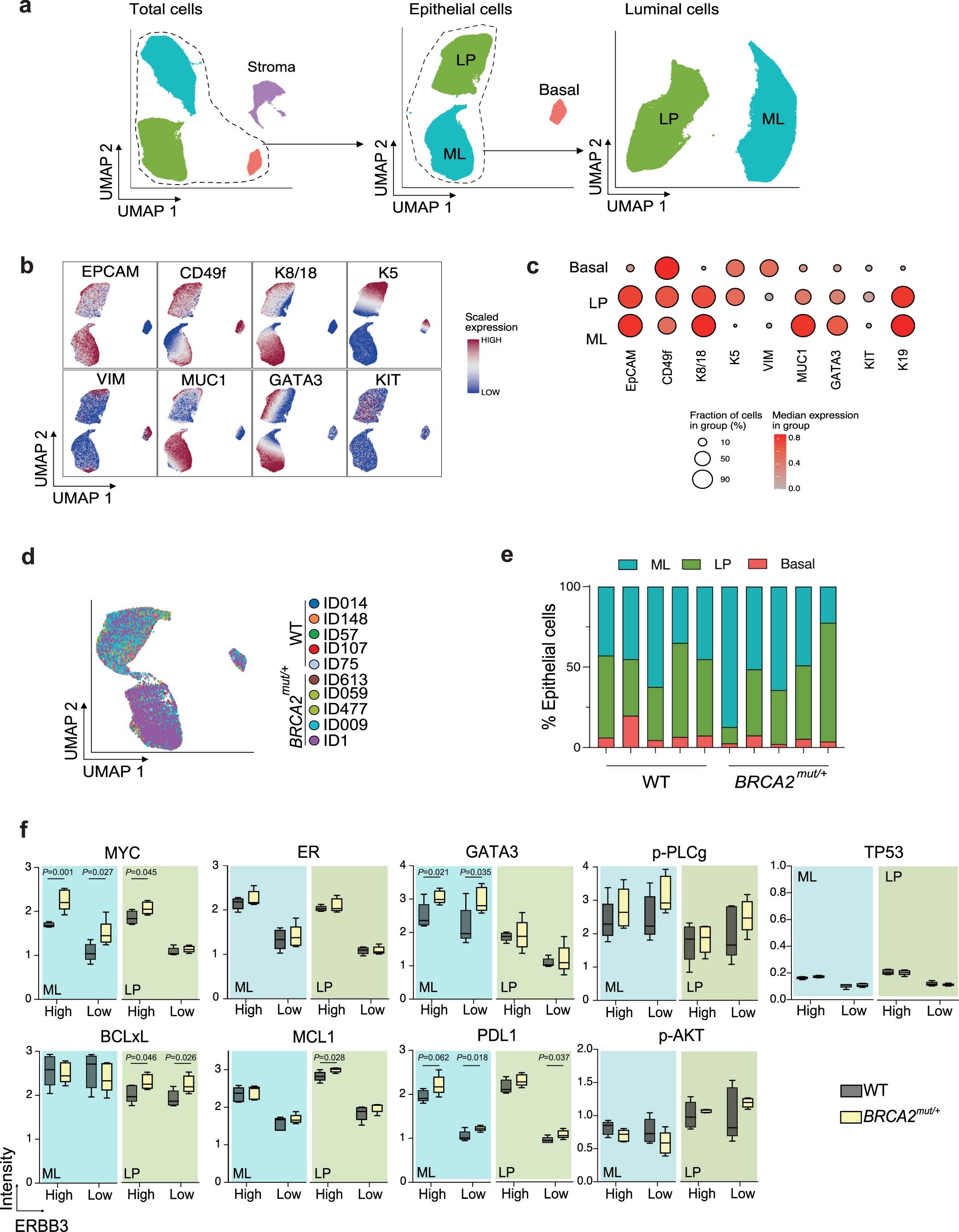 Extended Data Fig. 2: Characterization of LP subsets by single-cell proteomic analysis.