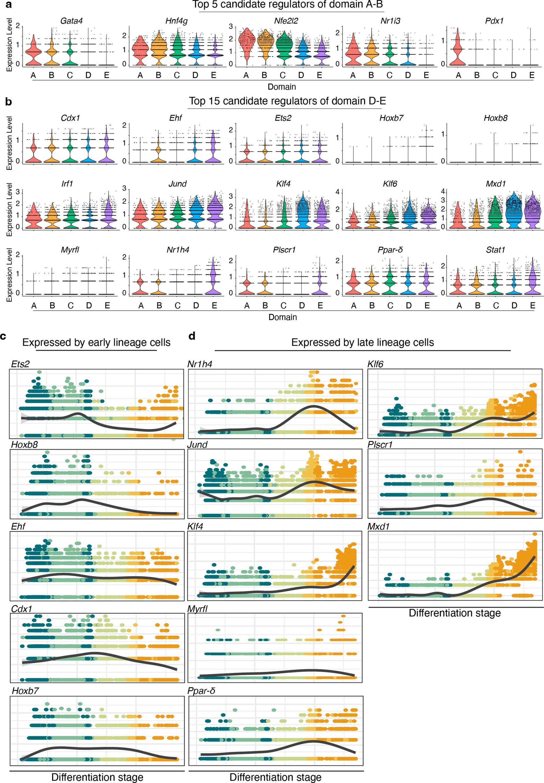 Extended Data Fig. 9: Top candidate regulators of domain identity.