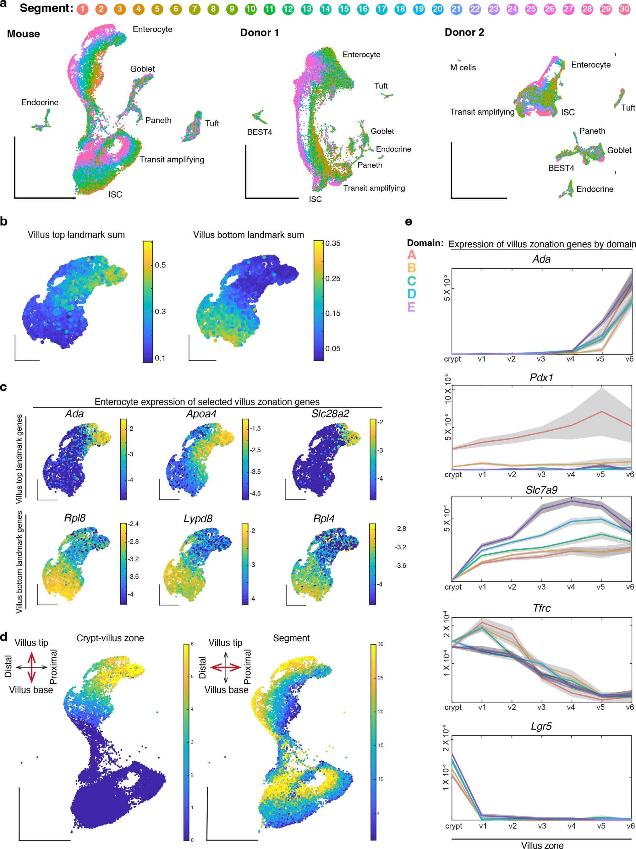 Extended Data Fig. 3: Zonation across multiple axes of the small intestine.