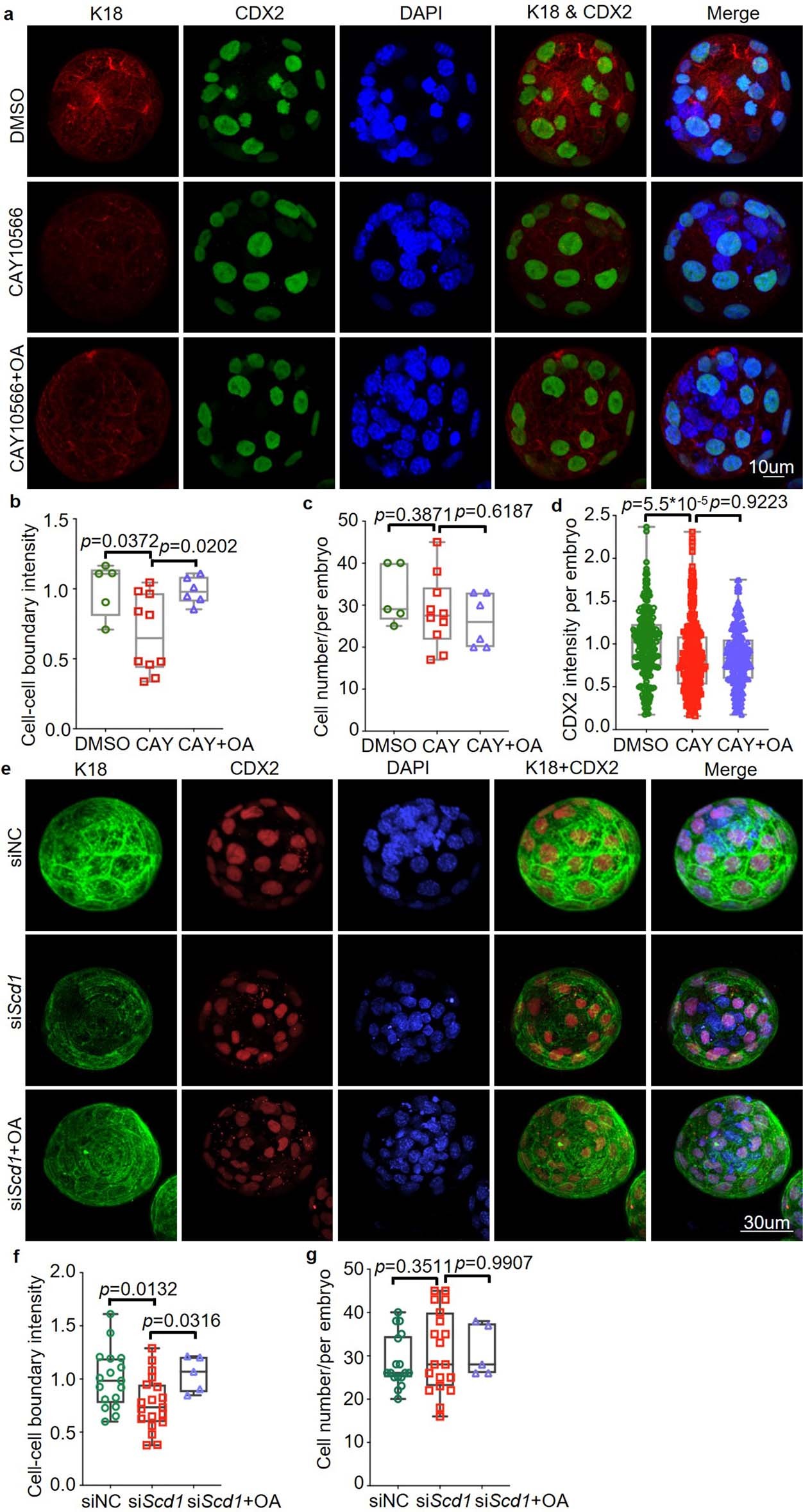 Extended Data Fig. 8