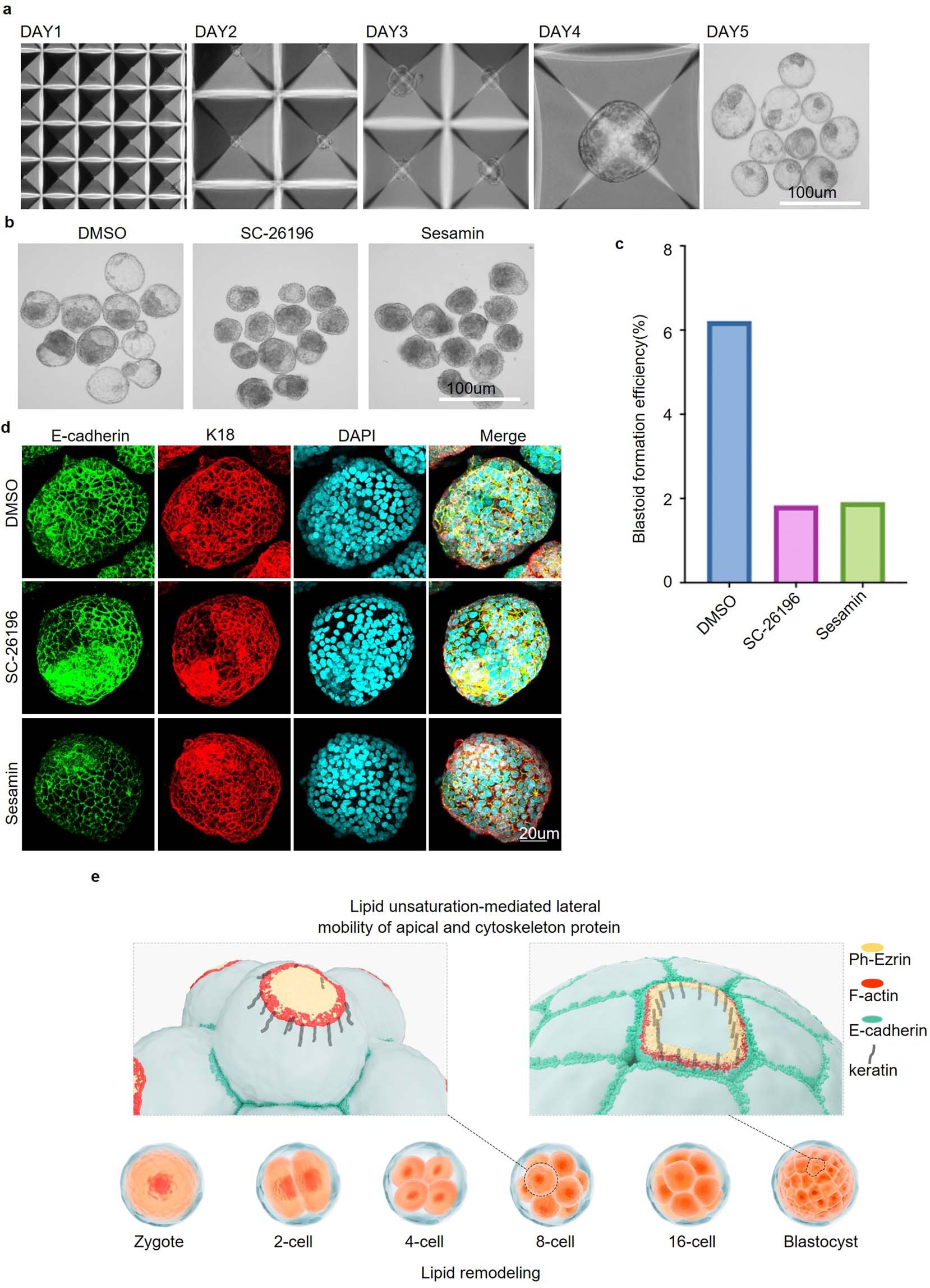 Extended Data Fig. 10