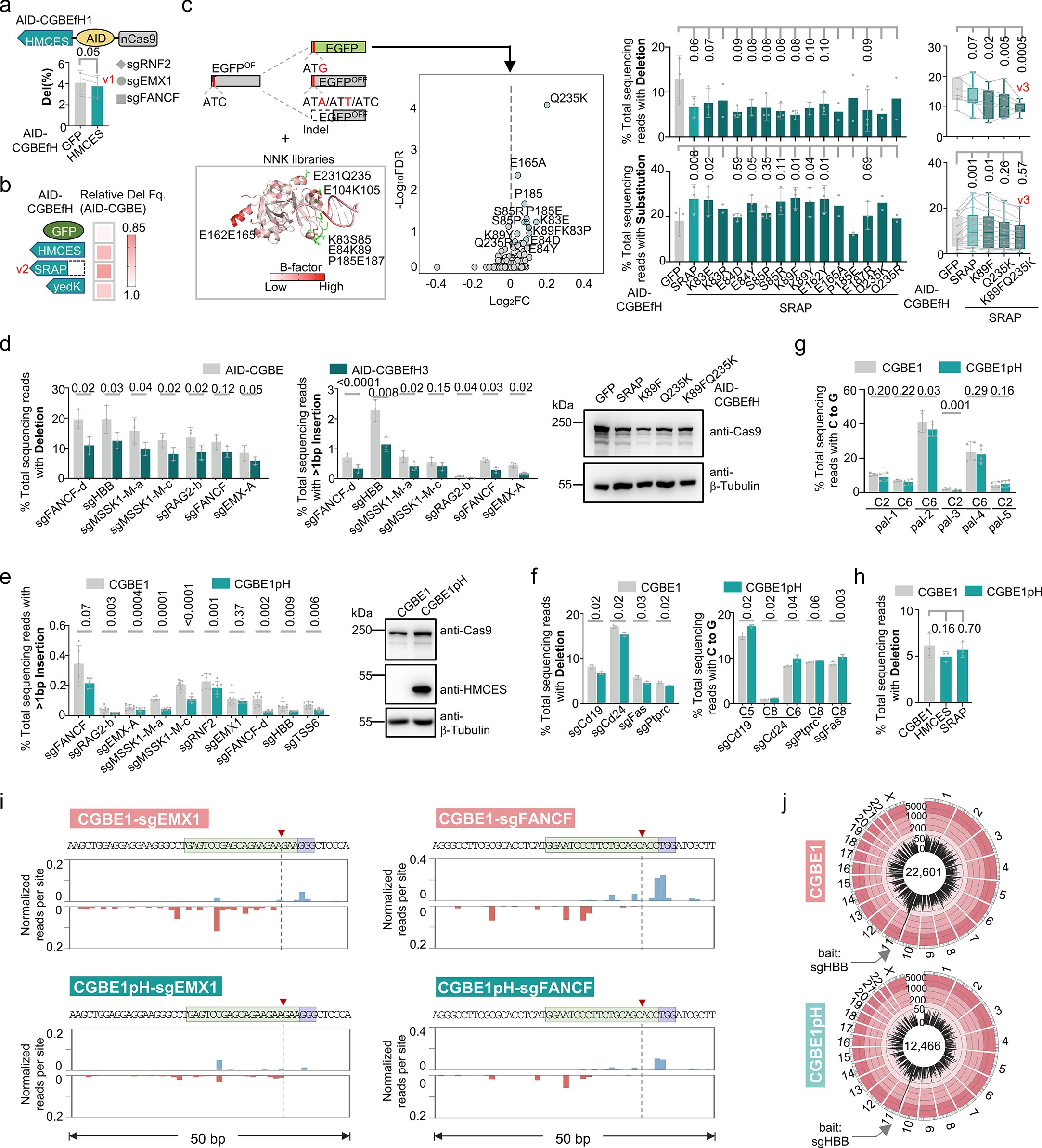 Extended Data Fig. 9: Optimization and characterization of CGBEfH/pH tools.