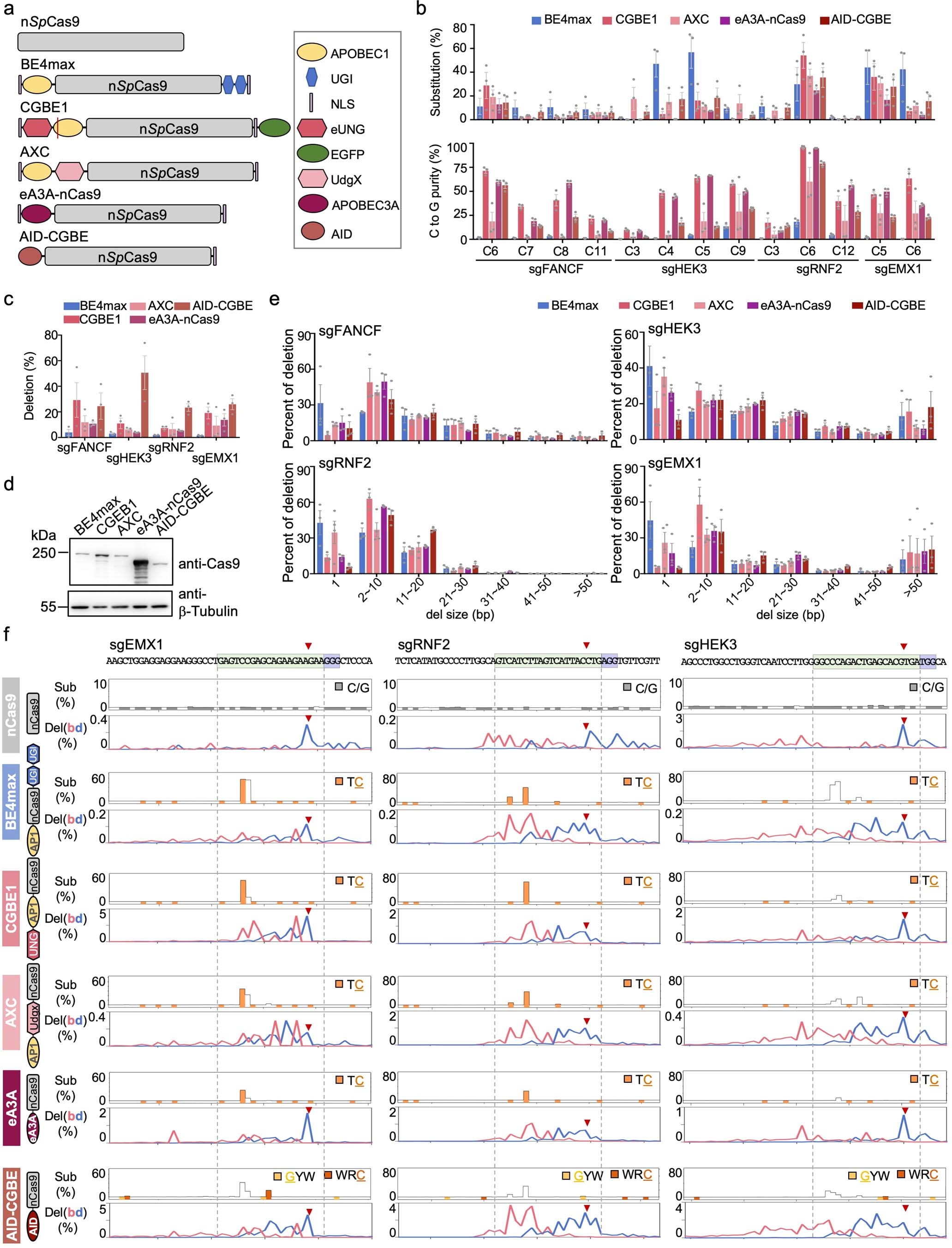 Extended Data Fig. 1: Cytidine editing outcome in-depth analyses.